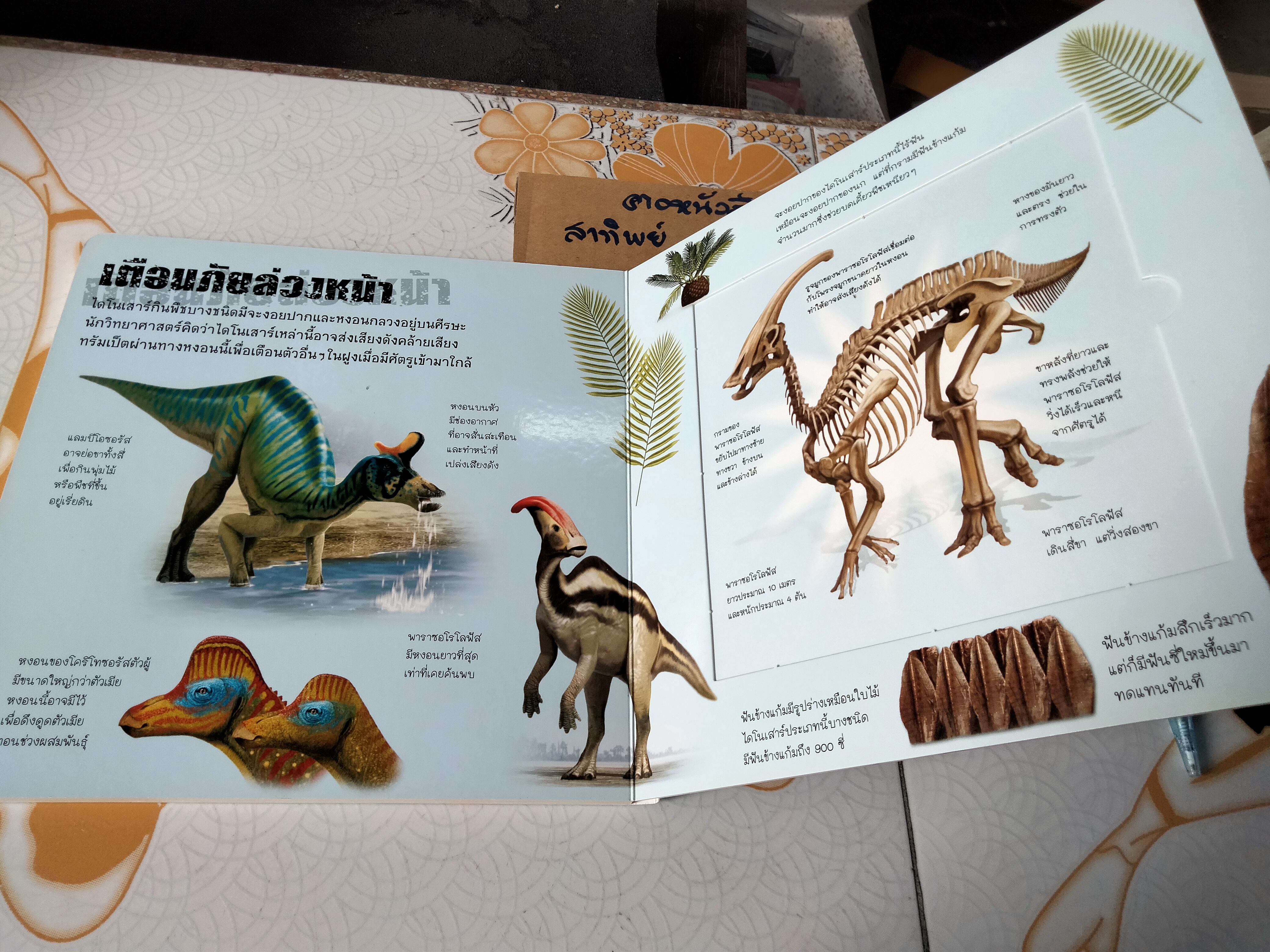 ประกอบร่างไดโนเสาร์ (บอร์ดบุ๊ค กระดาษแข็ง) **ไม่มีโมเดลไดโนเสาร์แล้ว