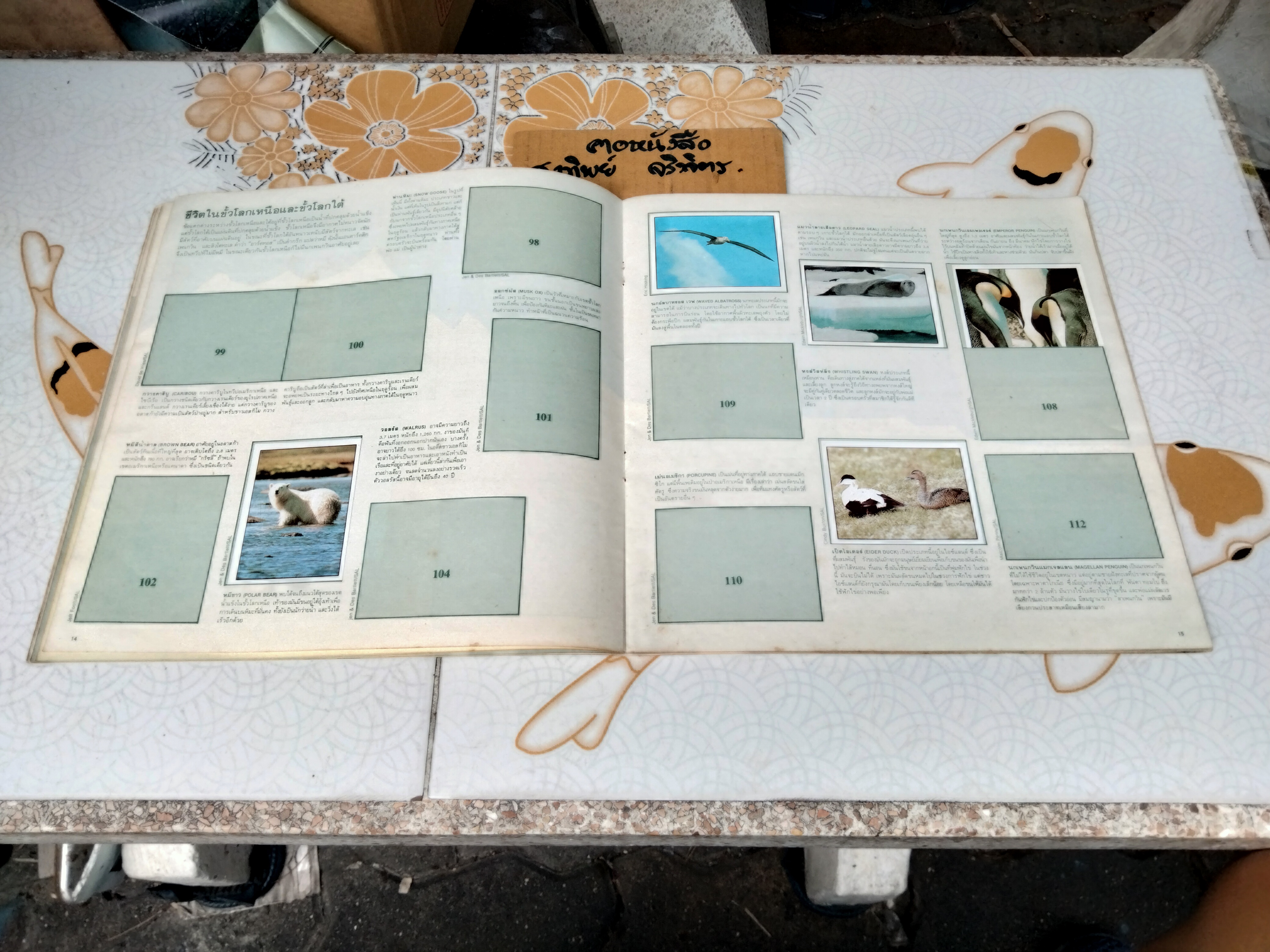 สมุดสะสมสติกเกอร์ ชีวิตสัตว์โลก (แปะไป 66 รูป/ 240 รูป)