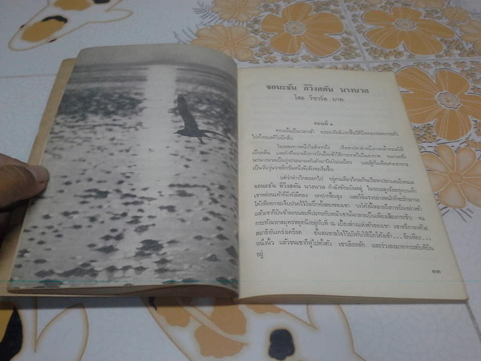 จอนะธัน ลิวิงสตัน นางนวล (Jonathan Livingston Seagull) ผลงานของ ริชาร์ด บาค, ม.ร.ว.คึกฤทธิ์ ปราโมช แปล พิมพ์ปี 2516 **สินค้าหมด**