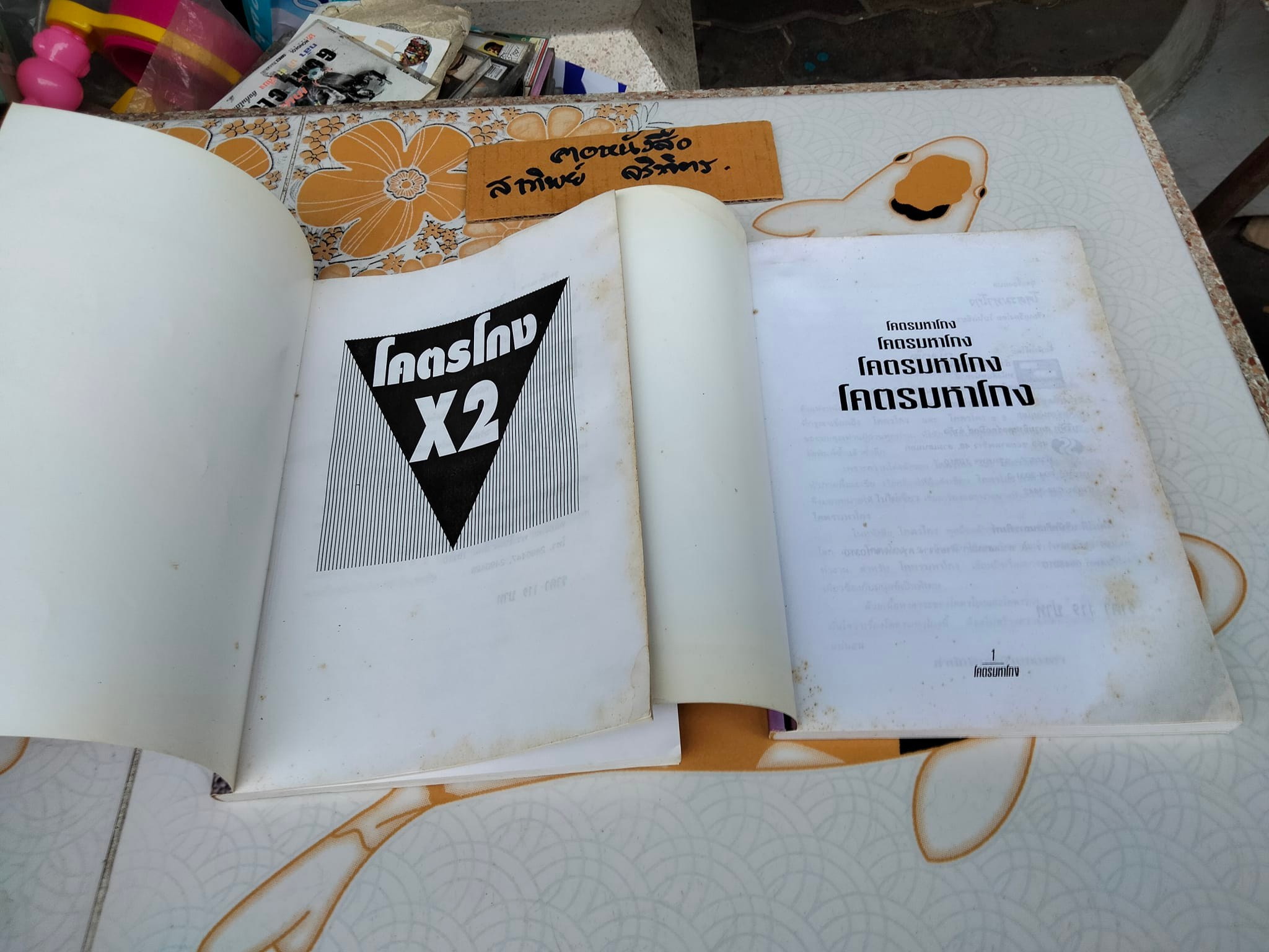 โคตรโกง x 2 - โคตรมหาโกง โดย ใบไผ่เขียว (ขายรวม 2 เล่ม)**สินค้าหมด**