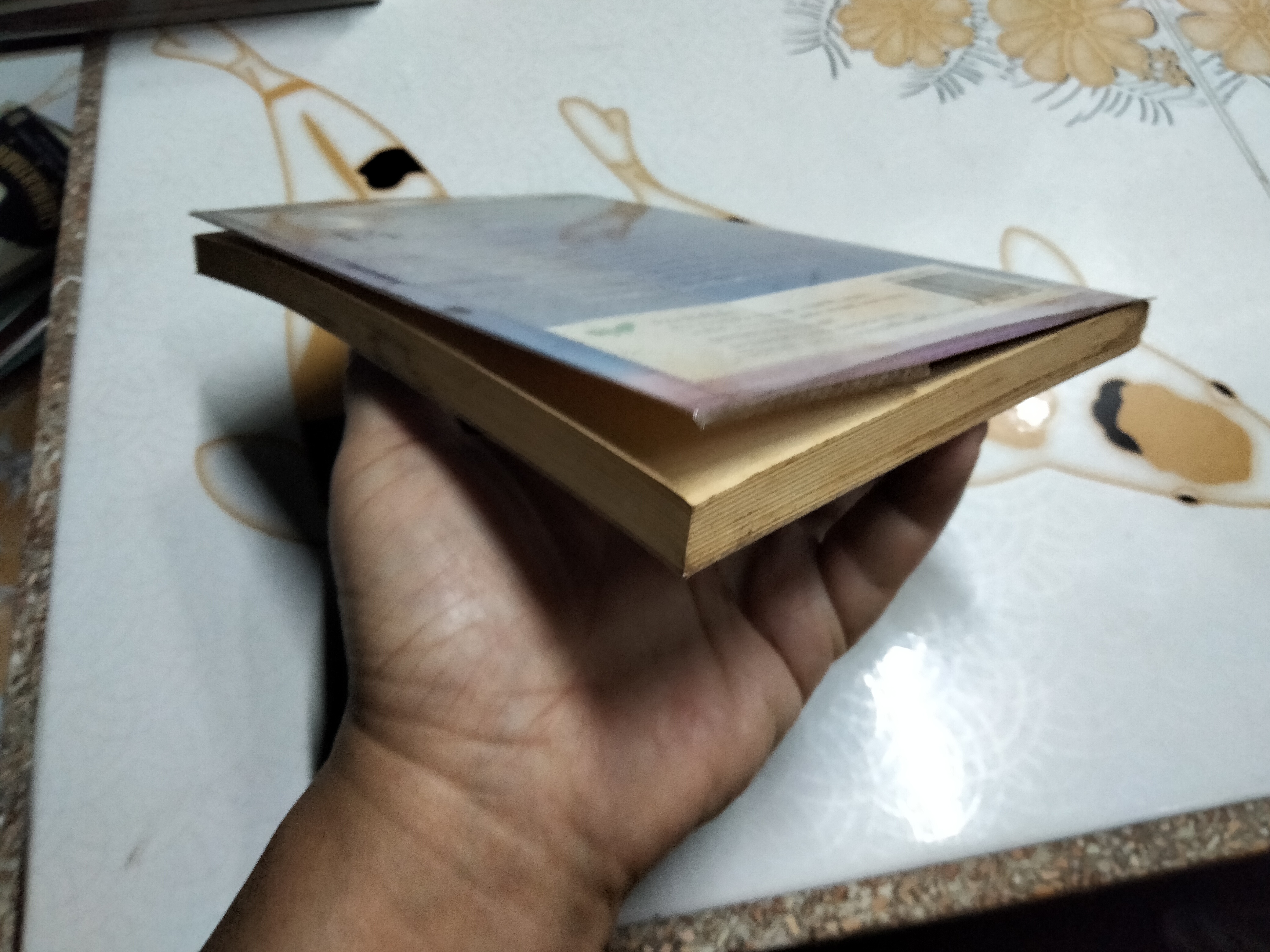 เด็กชายจากดาวอื่น โดย วาวแพร **สินค้าหมด**