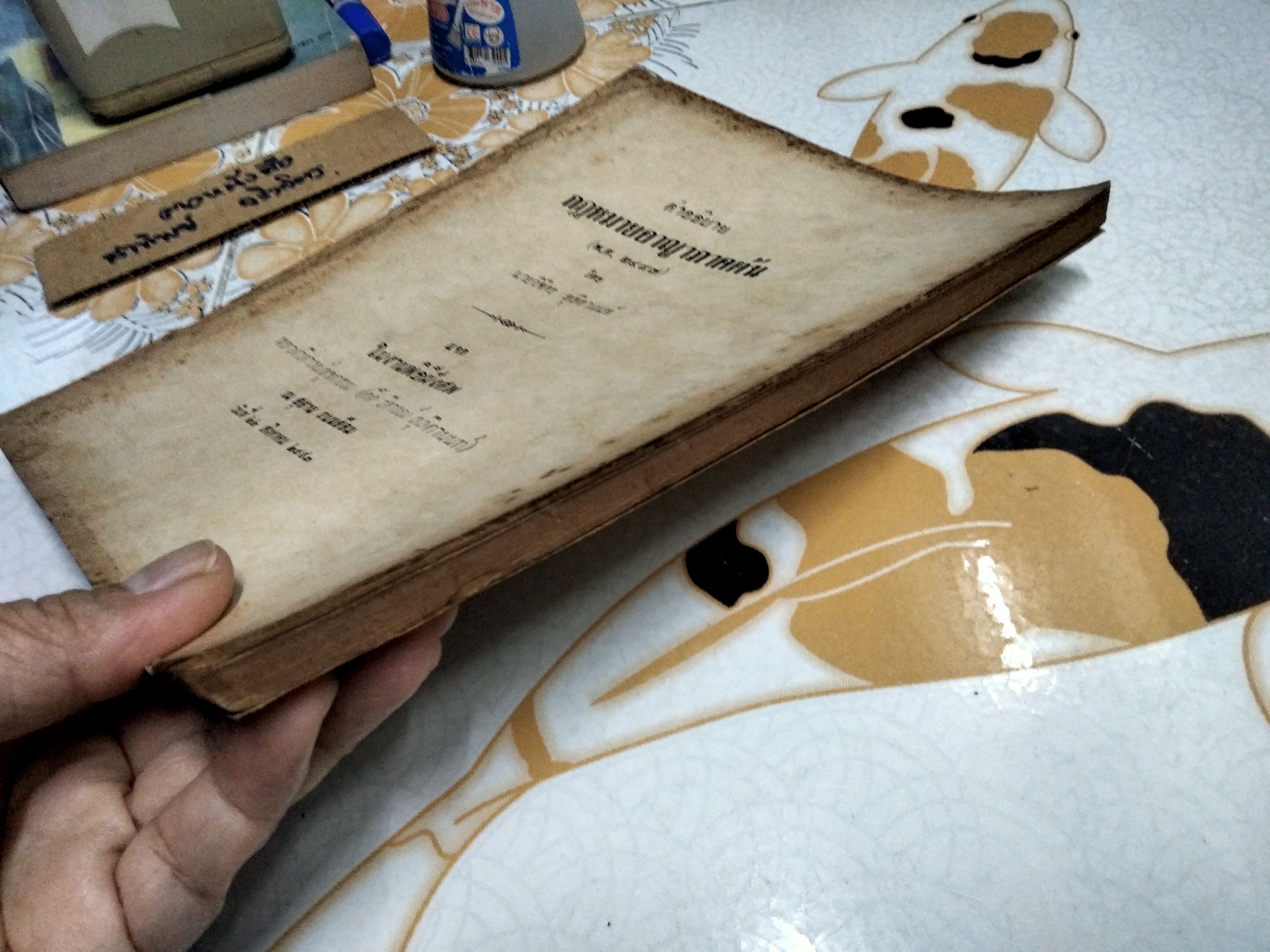 คำอธิบายกฎหมายอาญาภาคต้น (พ.ศ. 2487) พิมพ์ครั้งที่ 2/2490 แจกในงานพิธีฝังศพ หลวงวิจารณ์สุขกรรม (ติ๊ด วิจารณ์ ลุลิตานนท์) **สินค้าหมด**