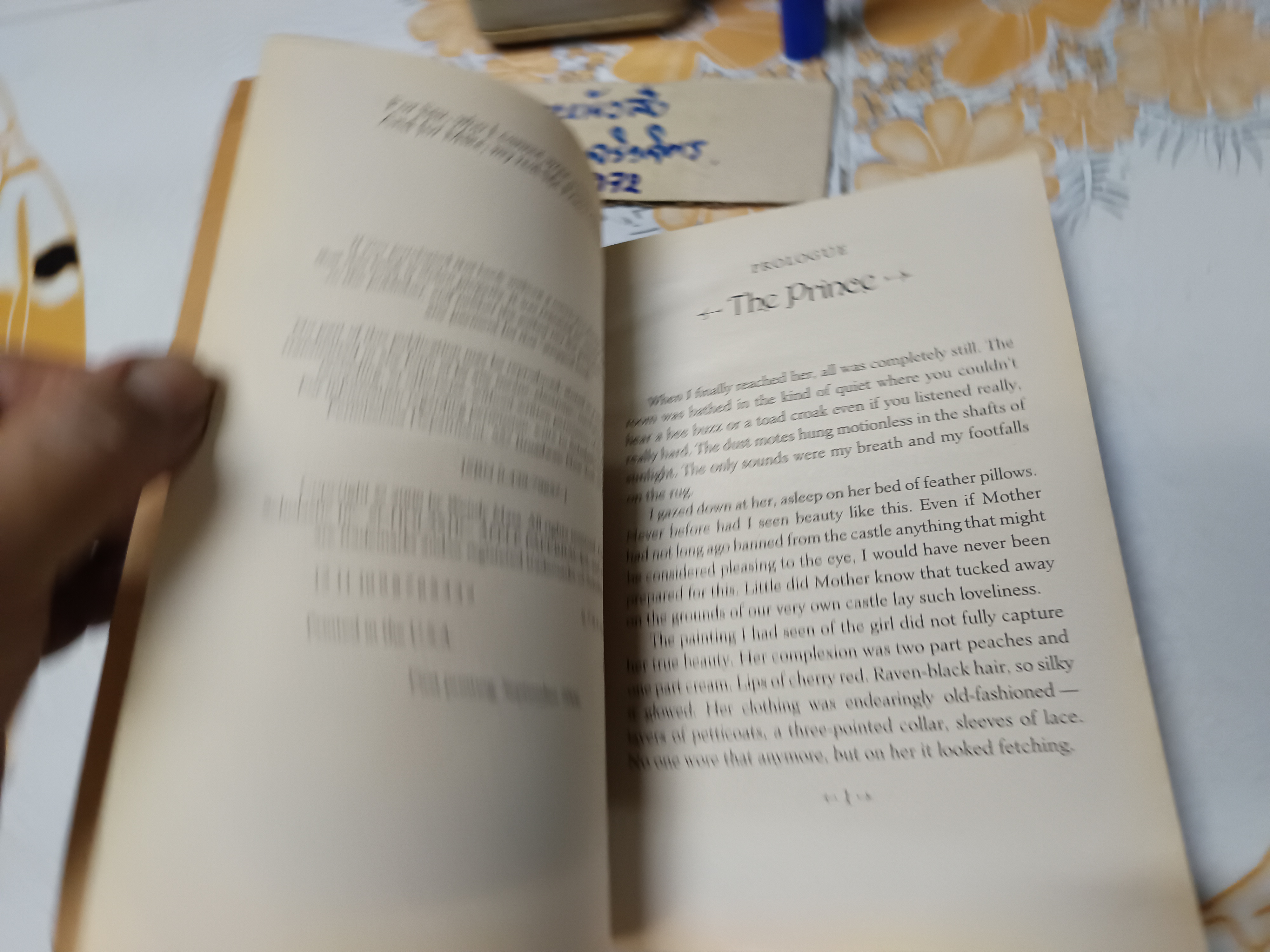 Twice Upon a Time, Sleeping Beauty ,Wendy Mass The One Who Took the Really Long Nap