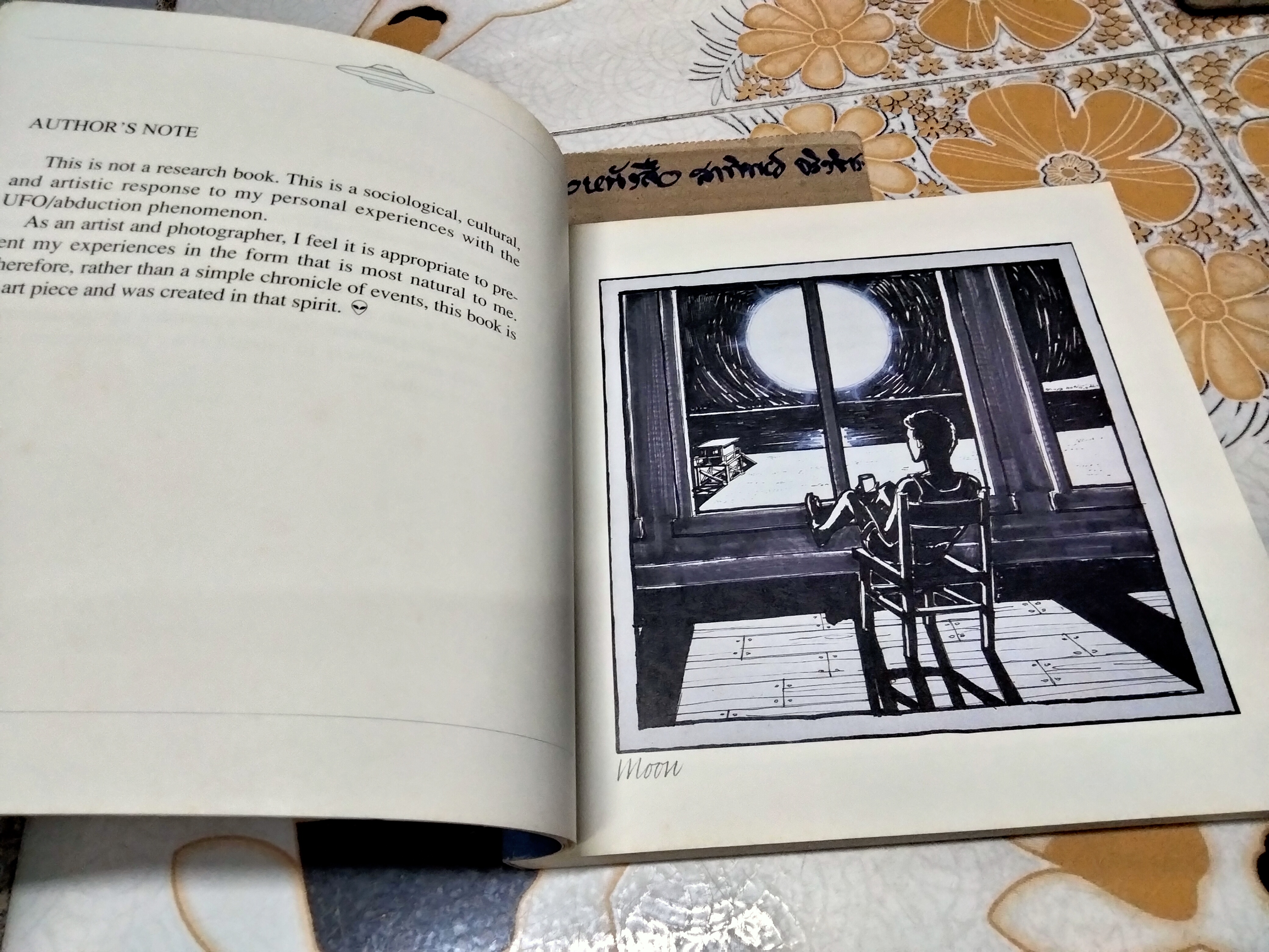 Beyond My Wildest Dreams : Diary of a UFO Abductee Kim Carlsberg , 1995