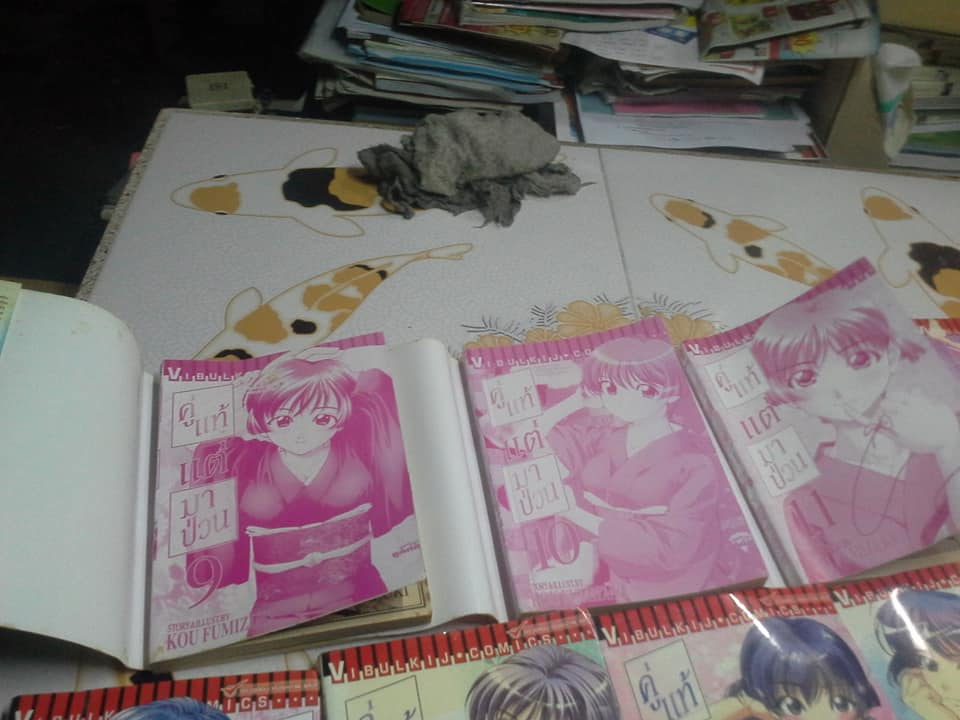 หนังสือการ์ตูน คู่แท้แต่มาป่วน (17 เล่มจบ) โดย KOU FUMIZUKI ขนาด BigBook