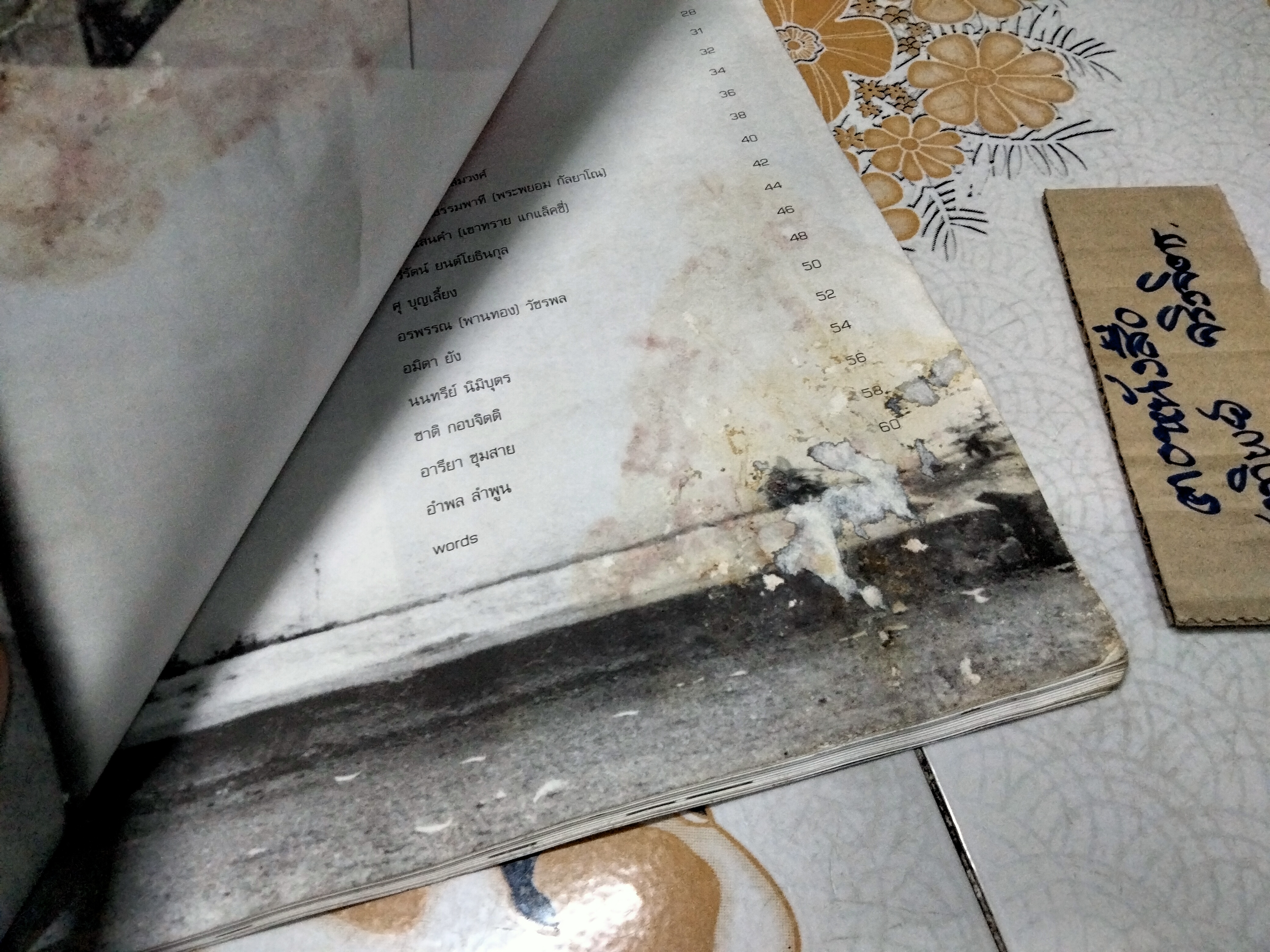 นิตยสาร a day special ฉบับ idols หน้าปก เบิร์ด ธงไชย (ตำหนิ หนังสือโดนน้ำ มีคราบรา)