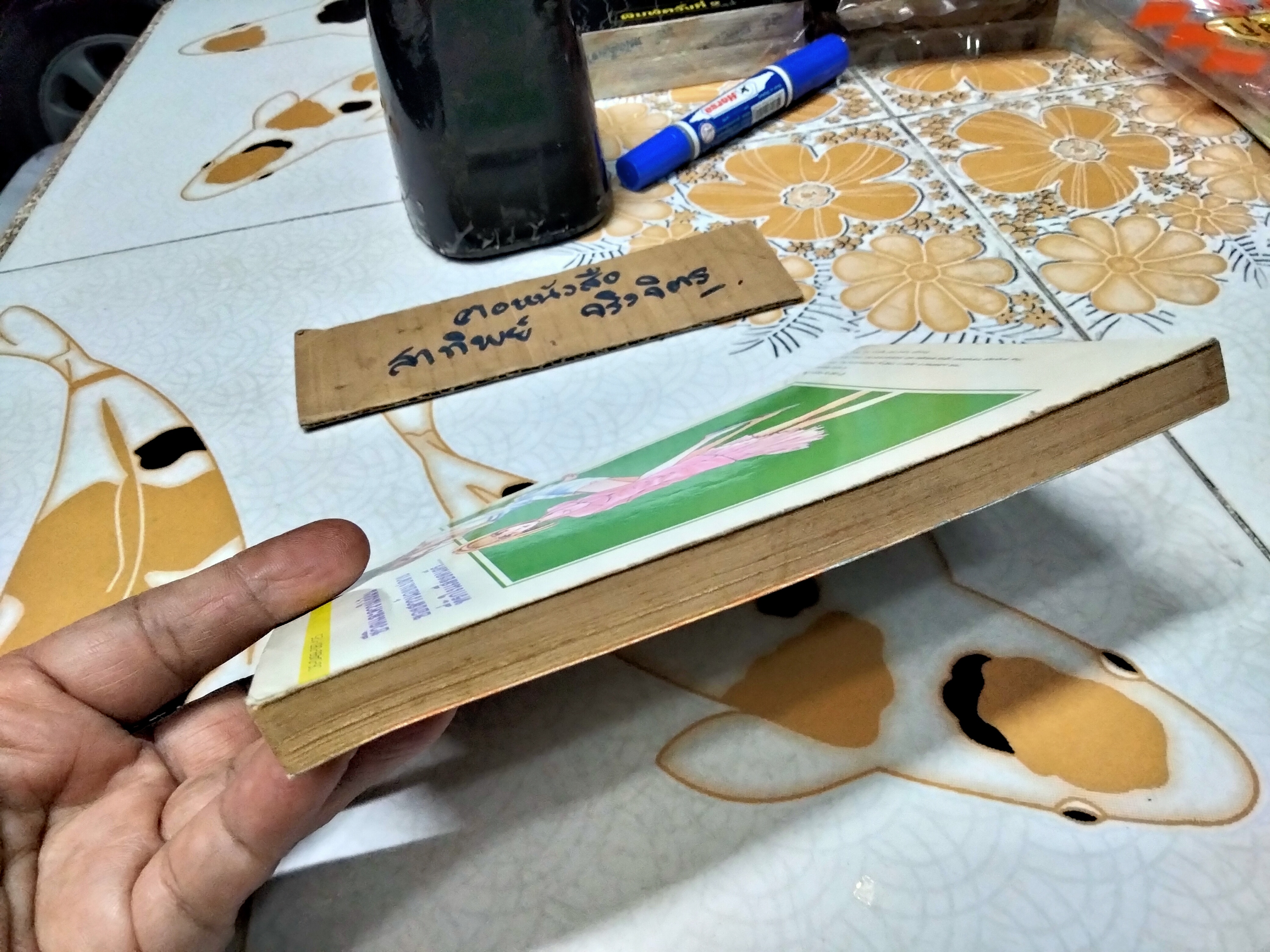 โลกสวยด้วยเพลง Rock Boys in Heaven by Kazumi OYA พิมพ์ครั้งแรกพ.ศ 2538