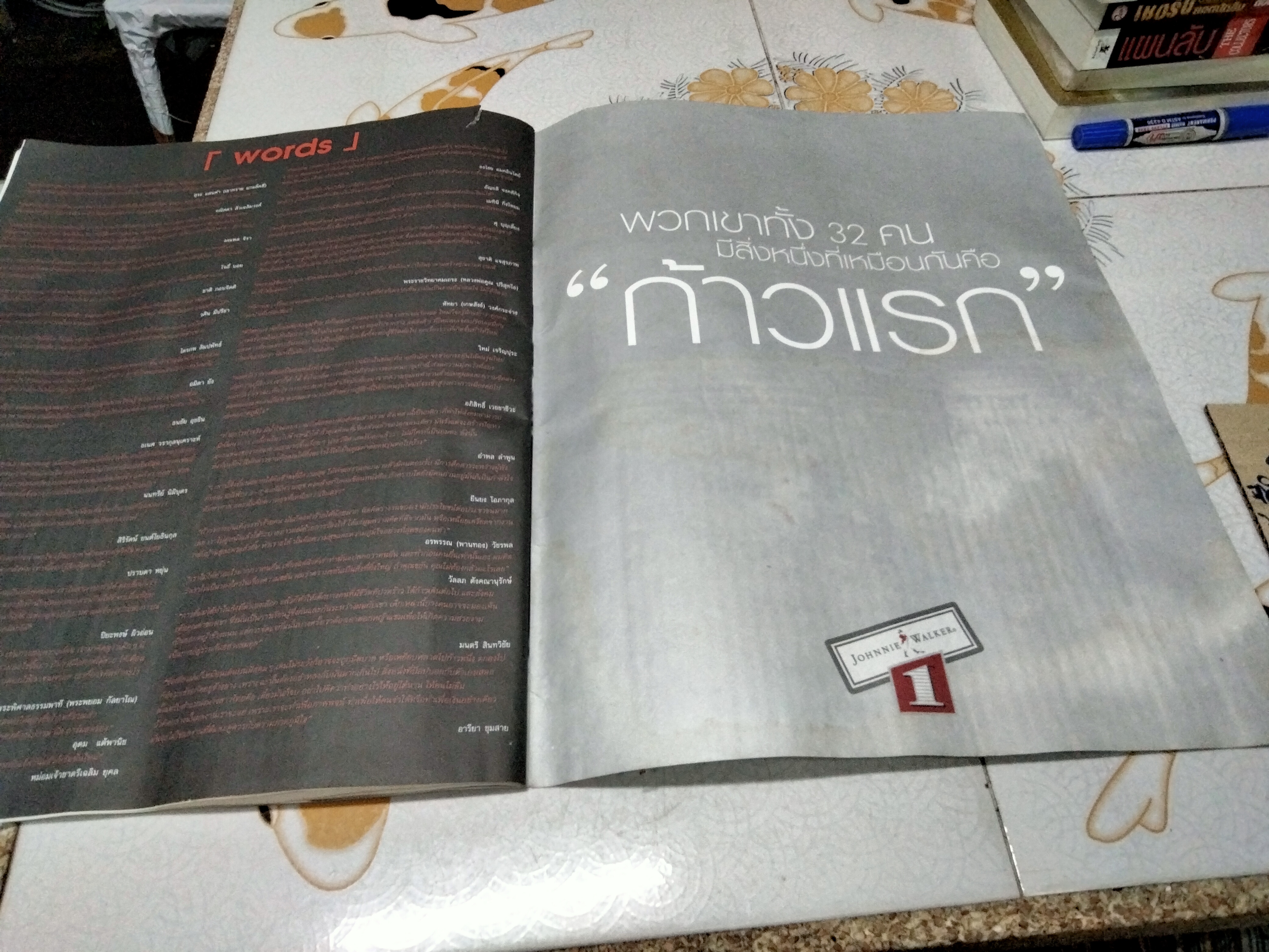 นิตยสาร a day special ฉบับ idols หน้าปก เบิร์ด ธงไชย (ตำหนิ หนังสือโดนน้ำ มีคราบรา)