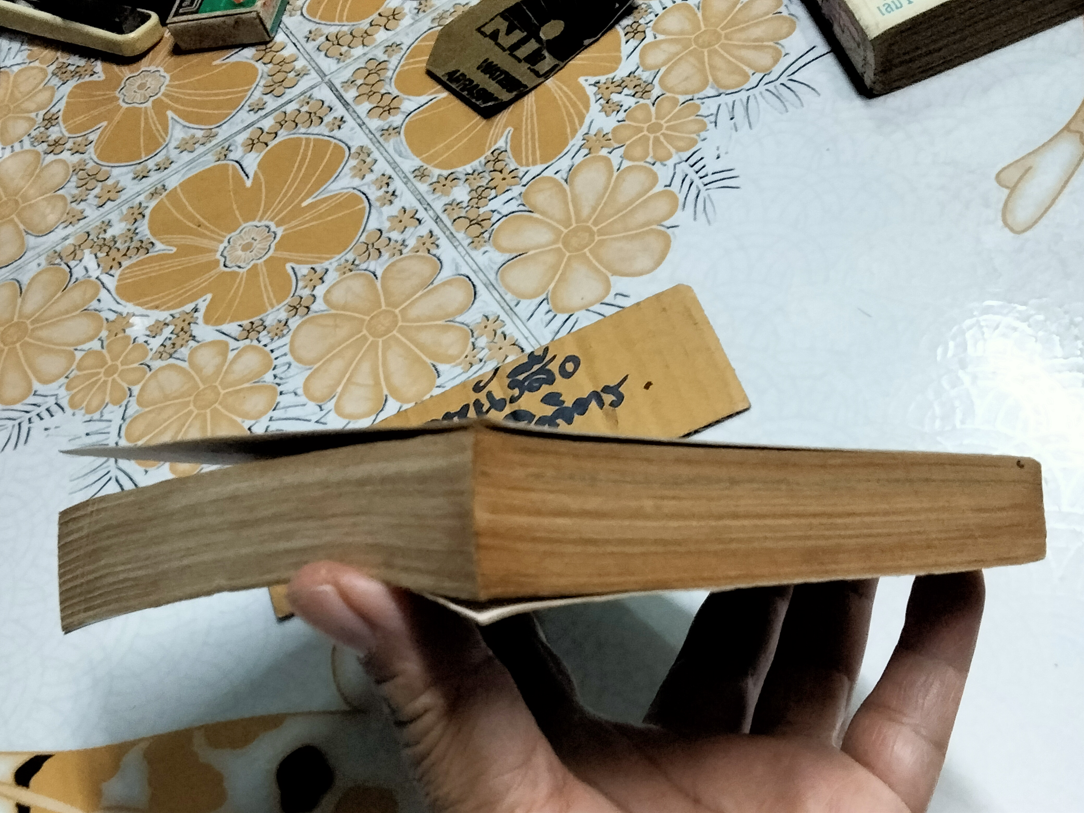 ไรก้า (เล่มเดียวจบ-ฉบับพิมพ์ซ้ำ) นางาอิ โก สนพ.มิตรไมตรี **สินค้าหมด**