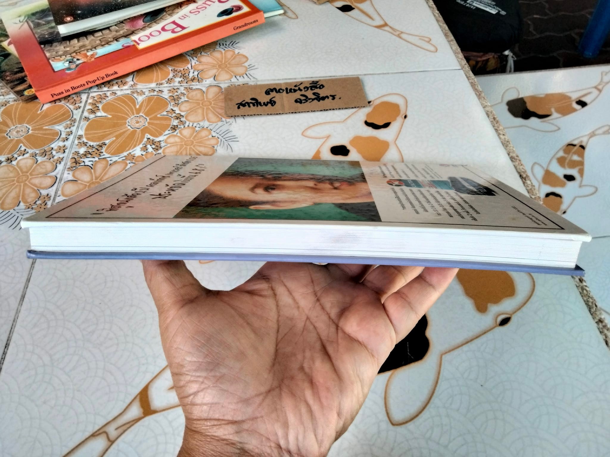 ดีเซล เบนซิน เรื่องหมูหมู (ปกแข็ง) - ธเนศร์ เสนีวงศ์ ณ อยุธยา