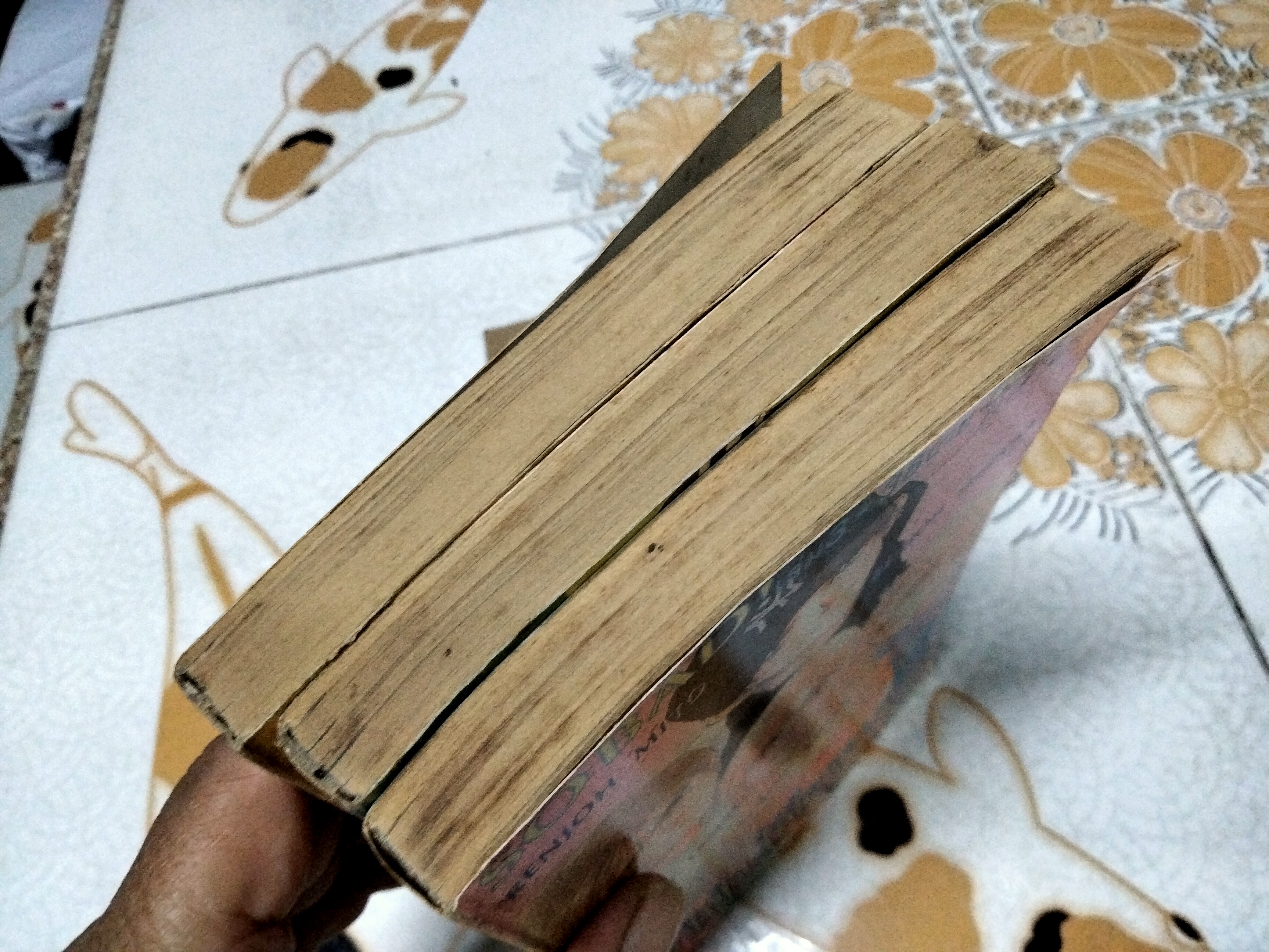 รักในใจ ให้ใครคนหนึ่ง (3เล่มจบ- KK Books) Miki Aihara ผู้วาด รักร้อนซ่อนกล