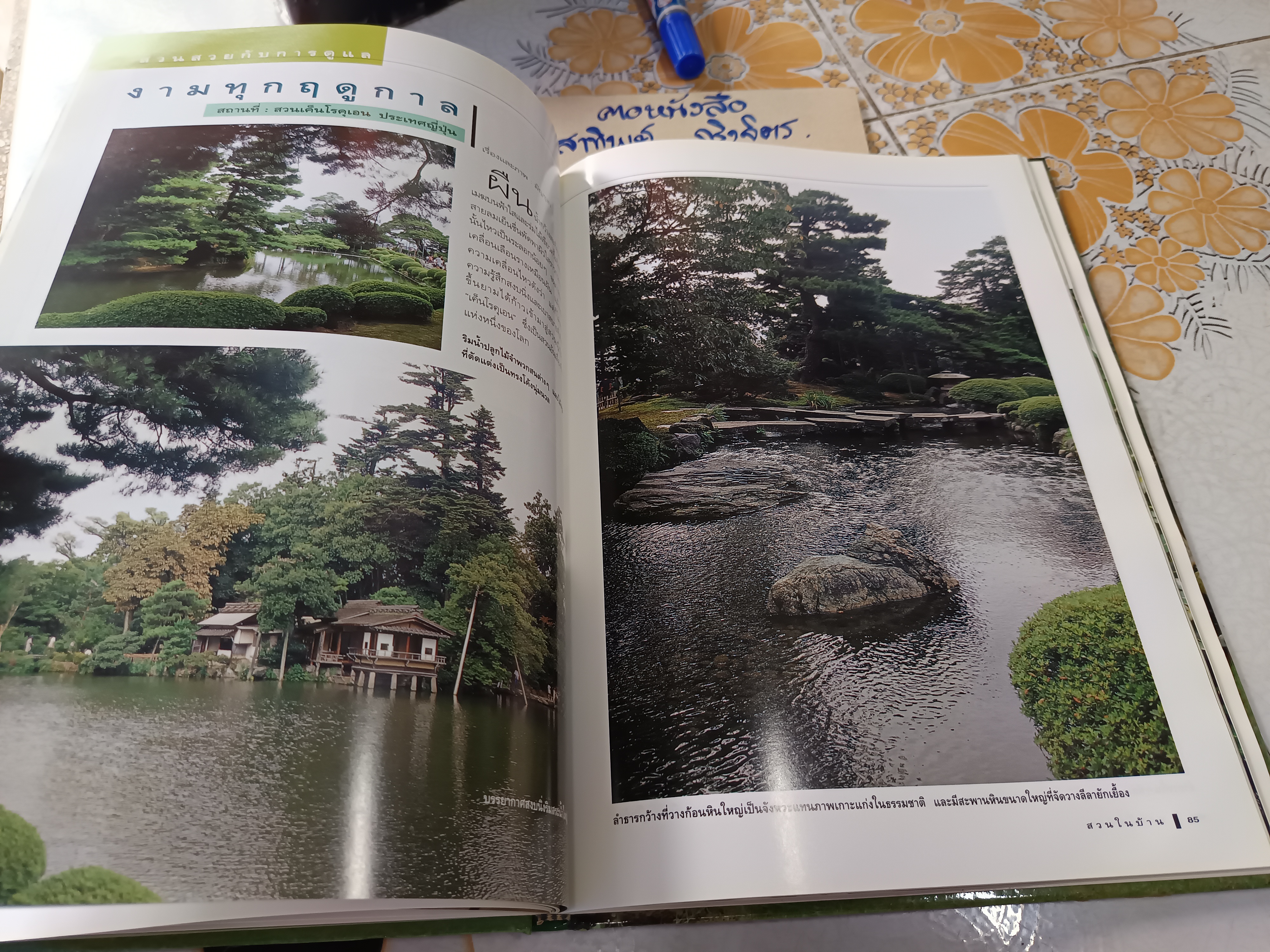 สวนในบ้าน เล่ม 6 - สวนสวยกับการดูแล คู่มือการจัดและตกแต่ง สำนักพิมพ์บ้านและสวน พิมพ์ปีพ.ศ 2541