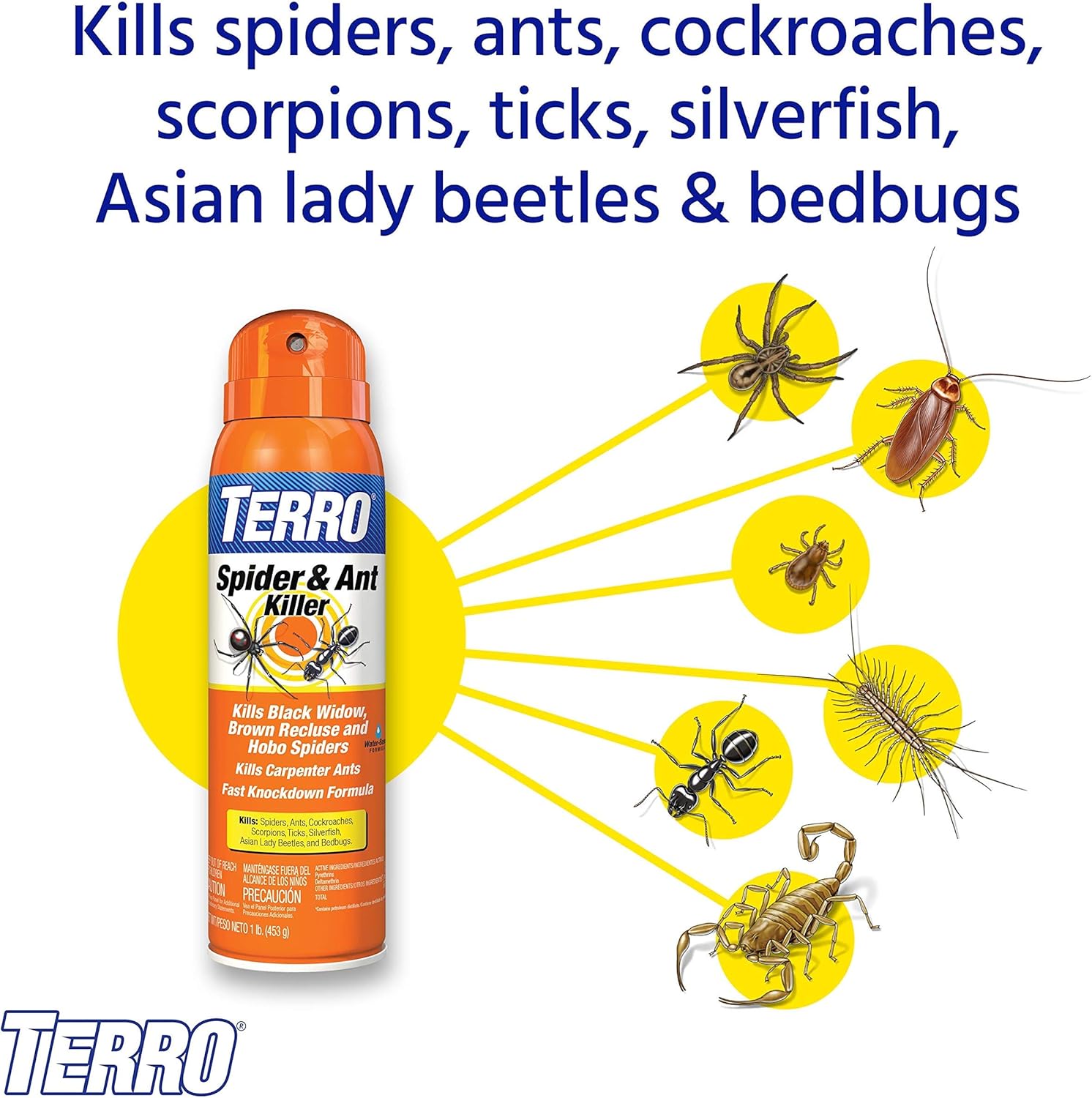 TERRO® T2302-6 Spider Killer Spray 453gสเปรย์กำจัดแมงมุม และแมลง