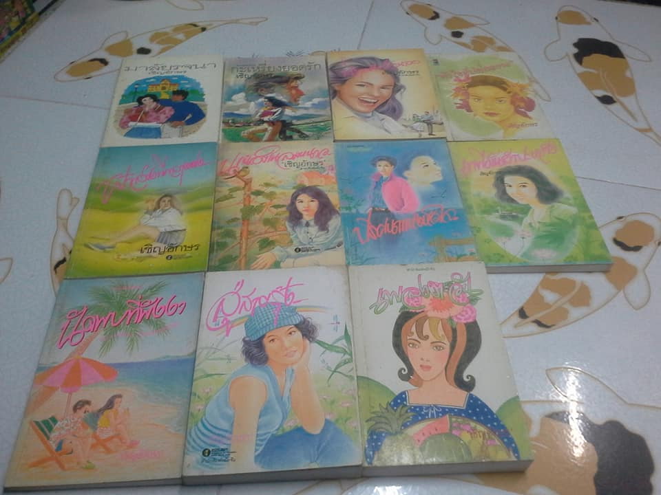 นิยาย ผลงานของ เชิญอักษร ขายยกชุด รวม 11 เรื่อง (ยังไม่ครบ) **สินค้าหมด**