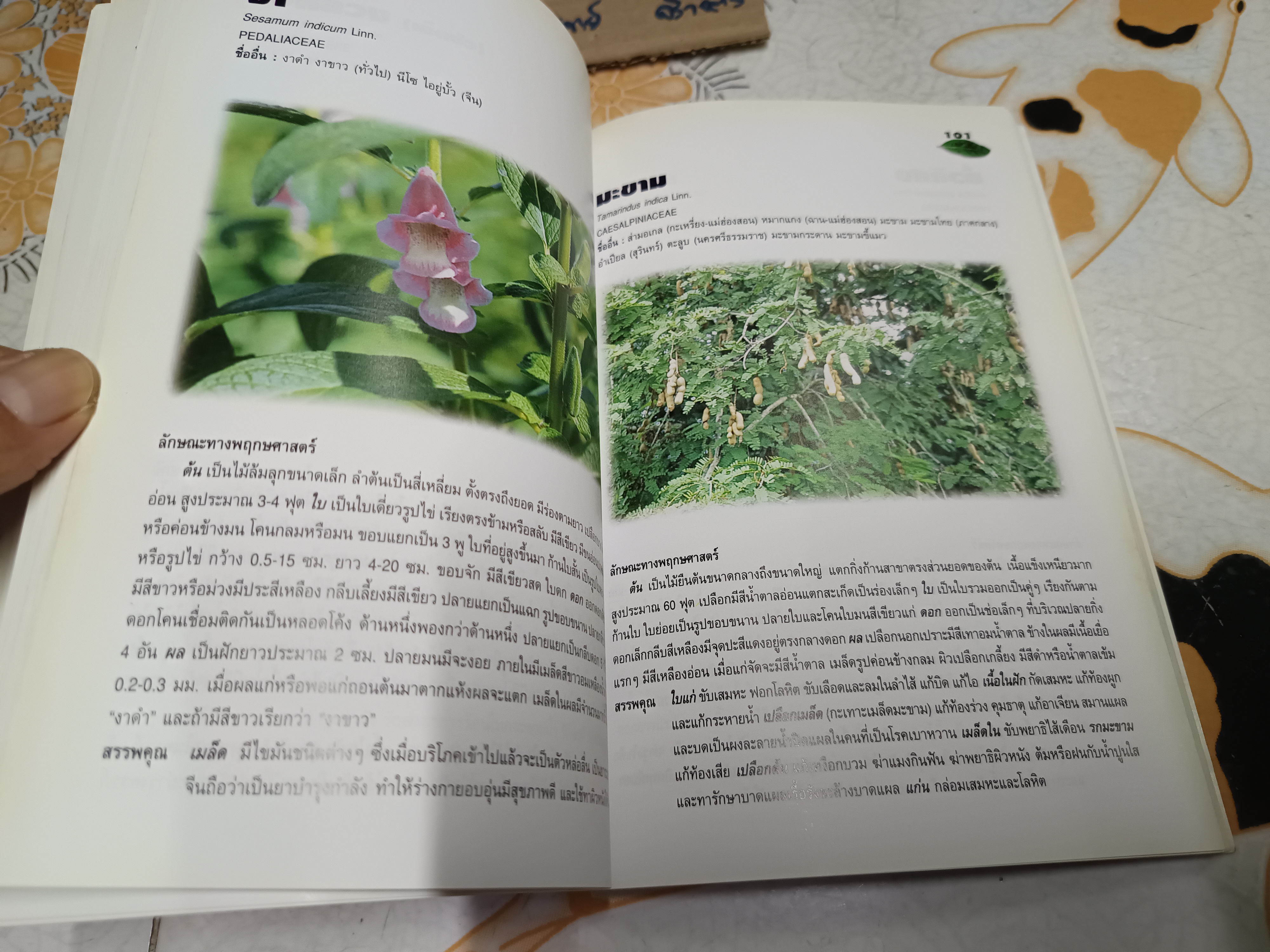 เภสัชกรรมแผนไทย จัดพิมพ์โดย ศูนย์พัฒนาตำราการแพทย์แผนไทย สถาบันส่งเสริมการแพทย์แผนไทย