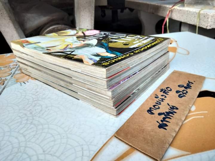 รักฤาเสน่หา (5 เล่มจบ-เช่า สภาพดี) ผลงานขุ โอซาคาเบะ มาชิน , ผู้วาด กรงรัก