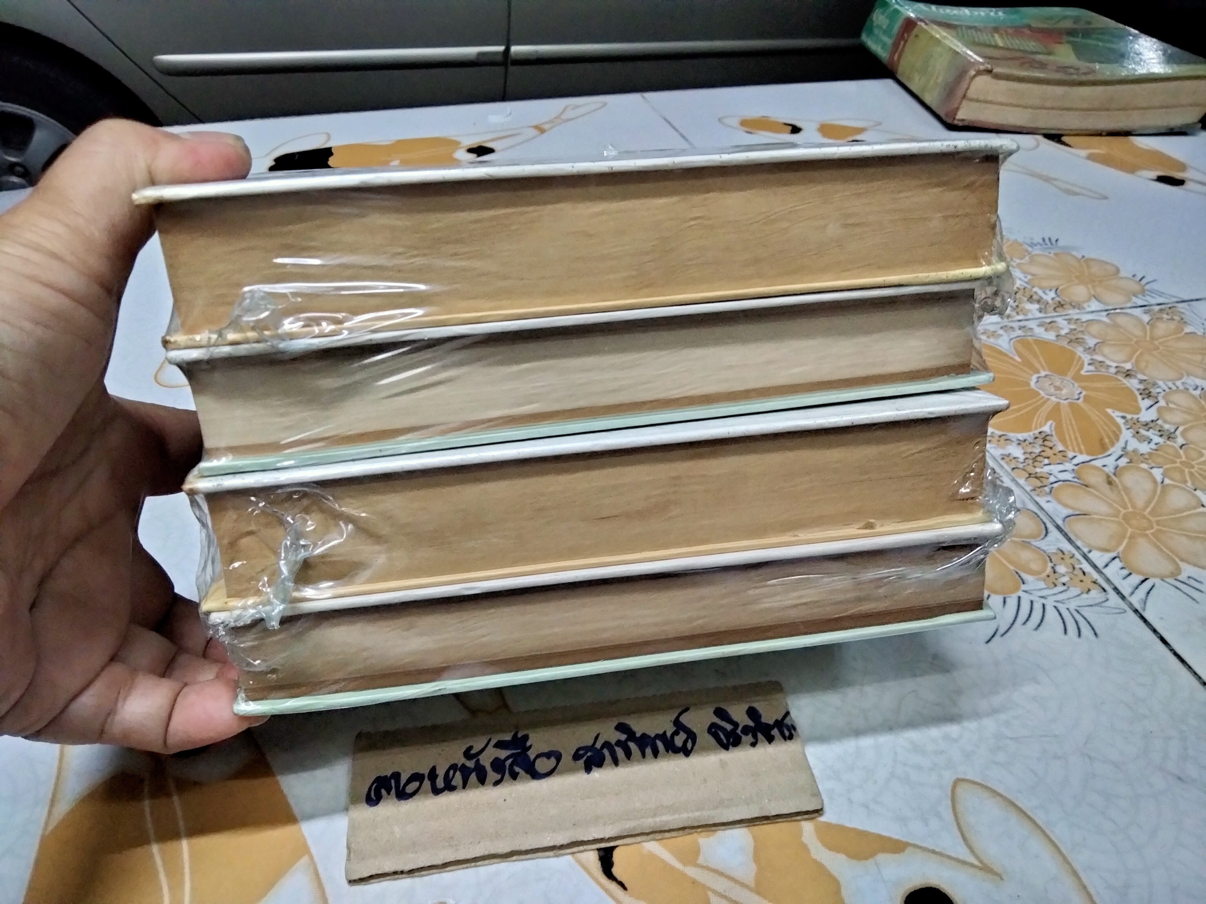 เลือดในดิน (2 เล่มจบ) : ไพร วิษณุ