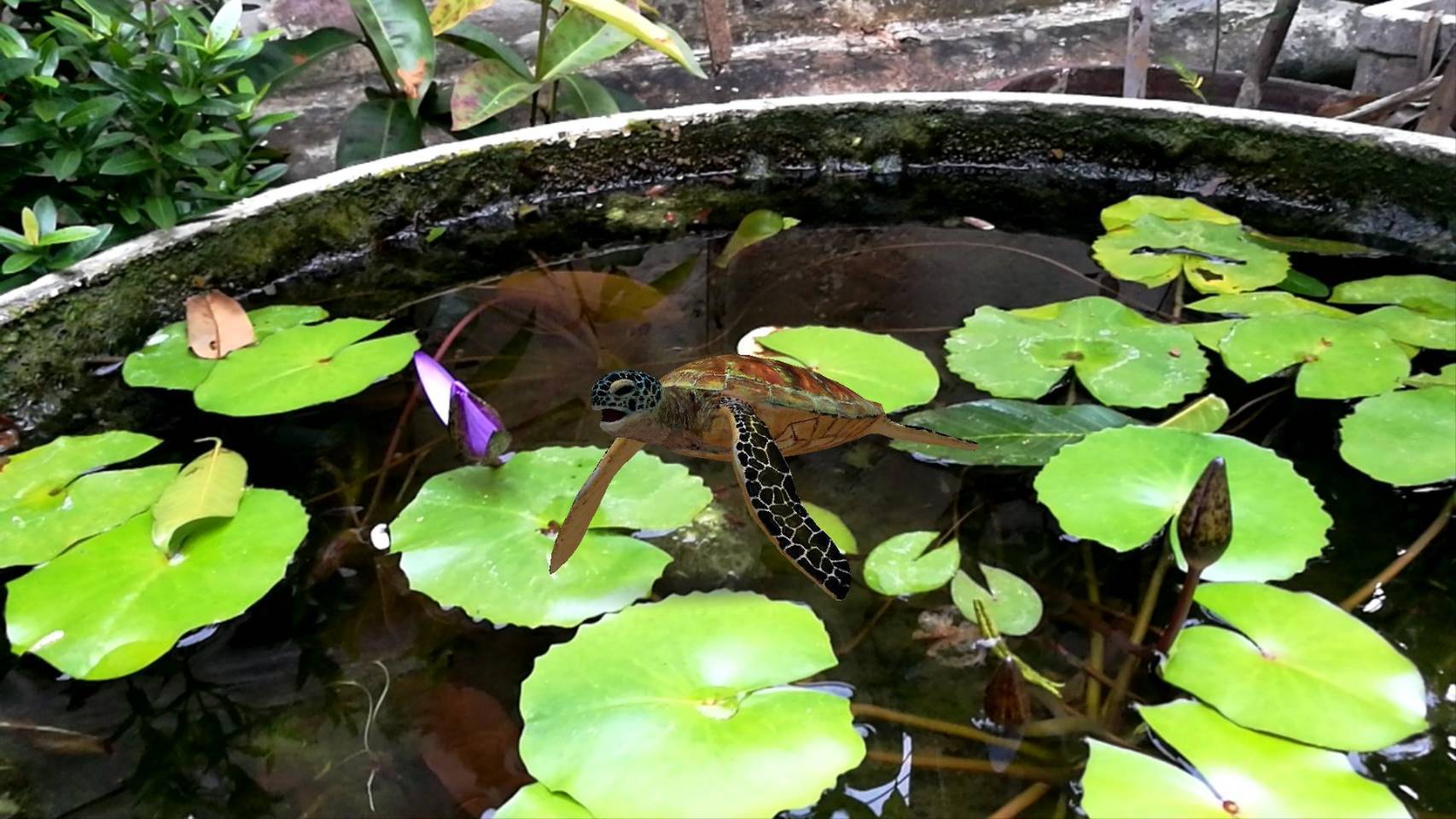 สื่อสามมิติ ด้านภาษา