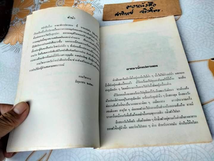 อาณาจักรปลาทอง - ผลงานของ ถนัดกิจ ปิณินทรีย์ พิมพ์ครั้งที่ 2/2533 **สินค้าหมด**
