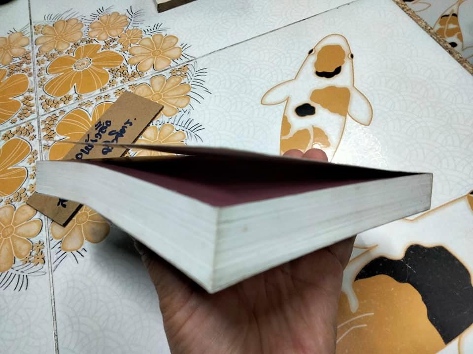 ดงดิบเถื่อน โดย เทศ จินนะ **สินค้าหมด**