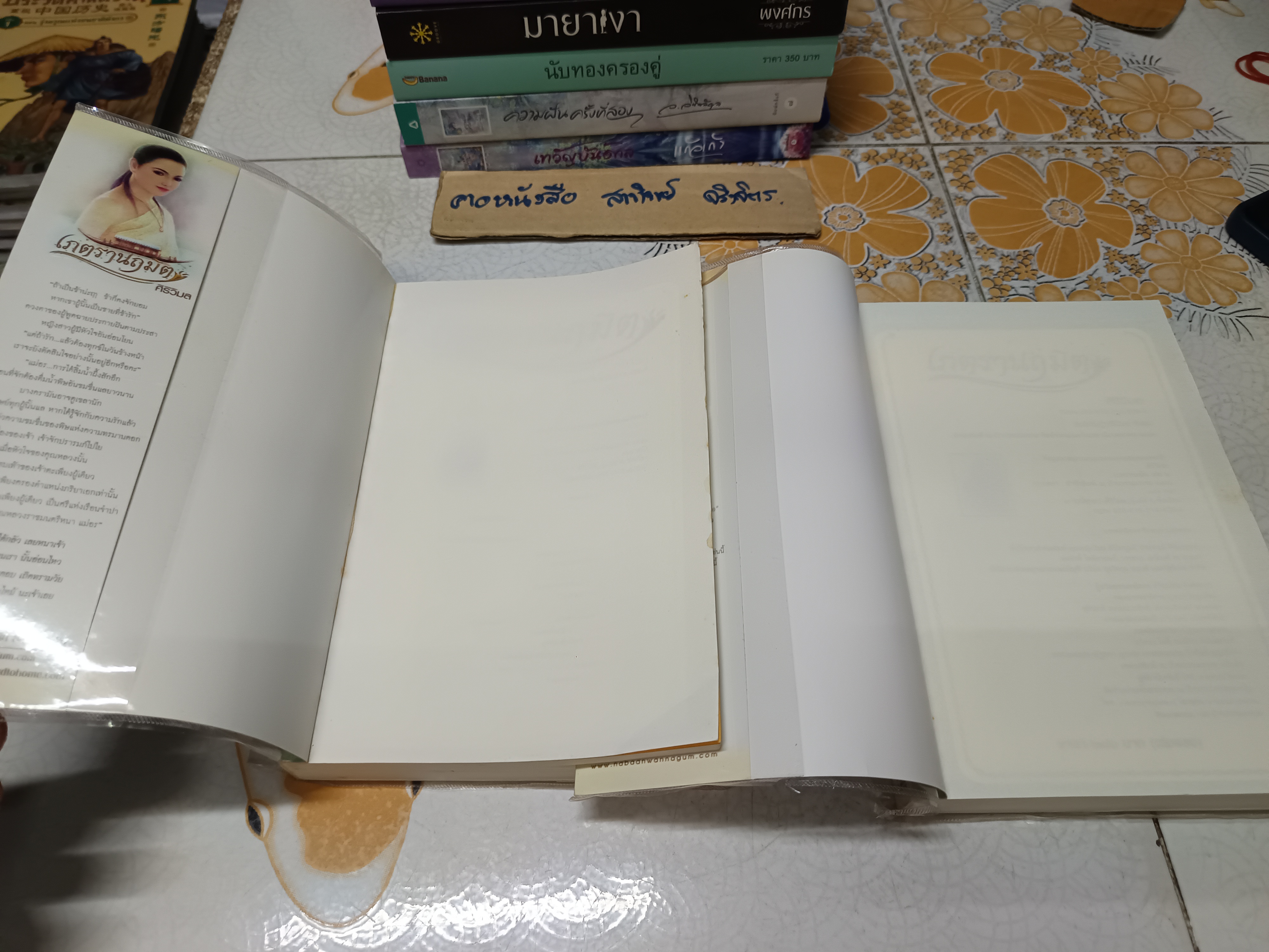 เภตรานฤมิต (2 เล่มจบ) - ศิริวิมล