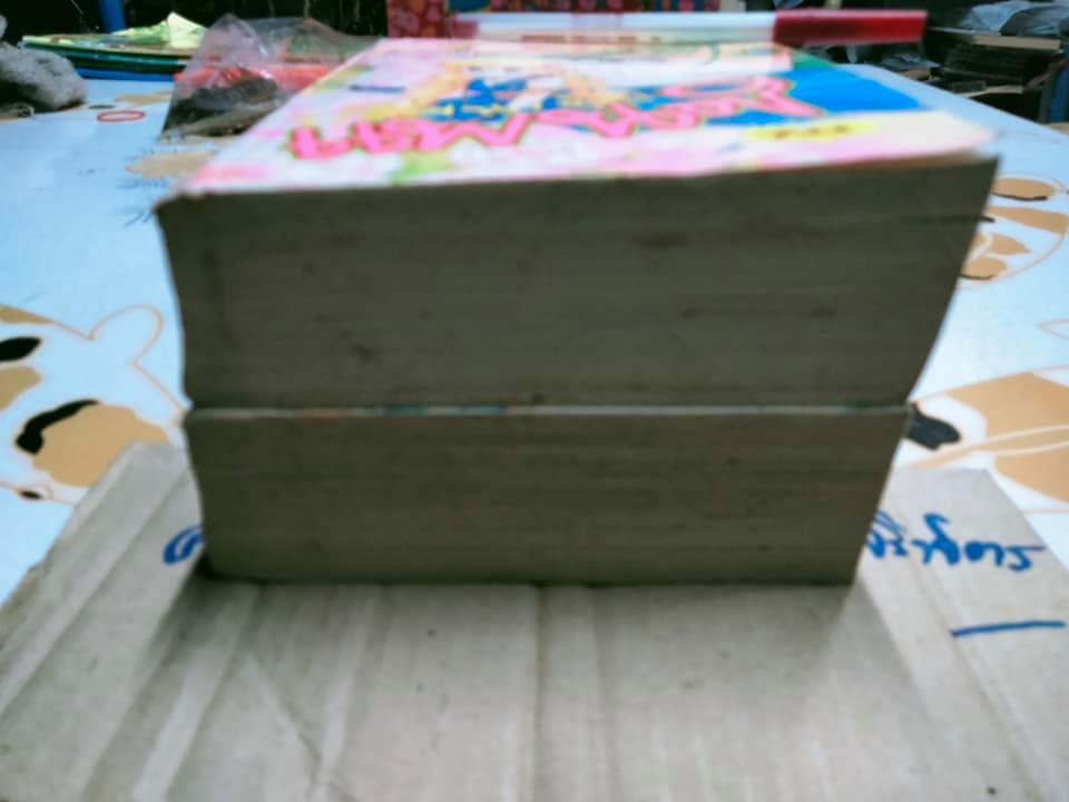 ปริศนาลับแพนซี (2 เล่มจบ) ผลงาน Okamura Mariko **สินค้าหมด**