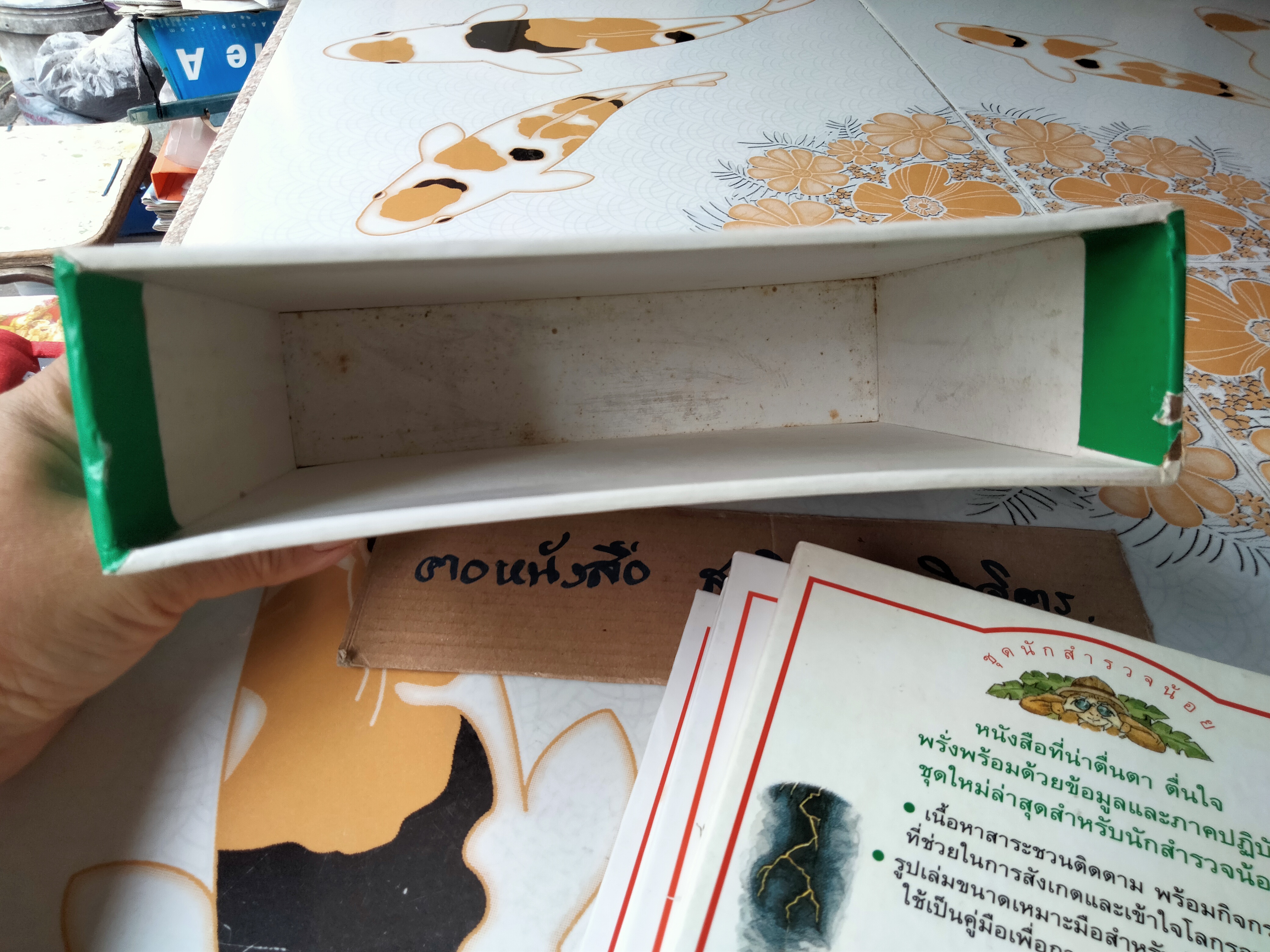 หนังสือชุดนักสำรวจน้อย-ลมฟ้าอากาศ, ดอกไม้, แมลง ,นก (Boxset) **สินค้าหมด**