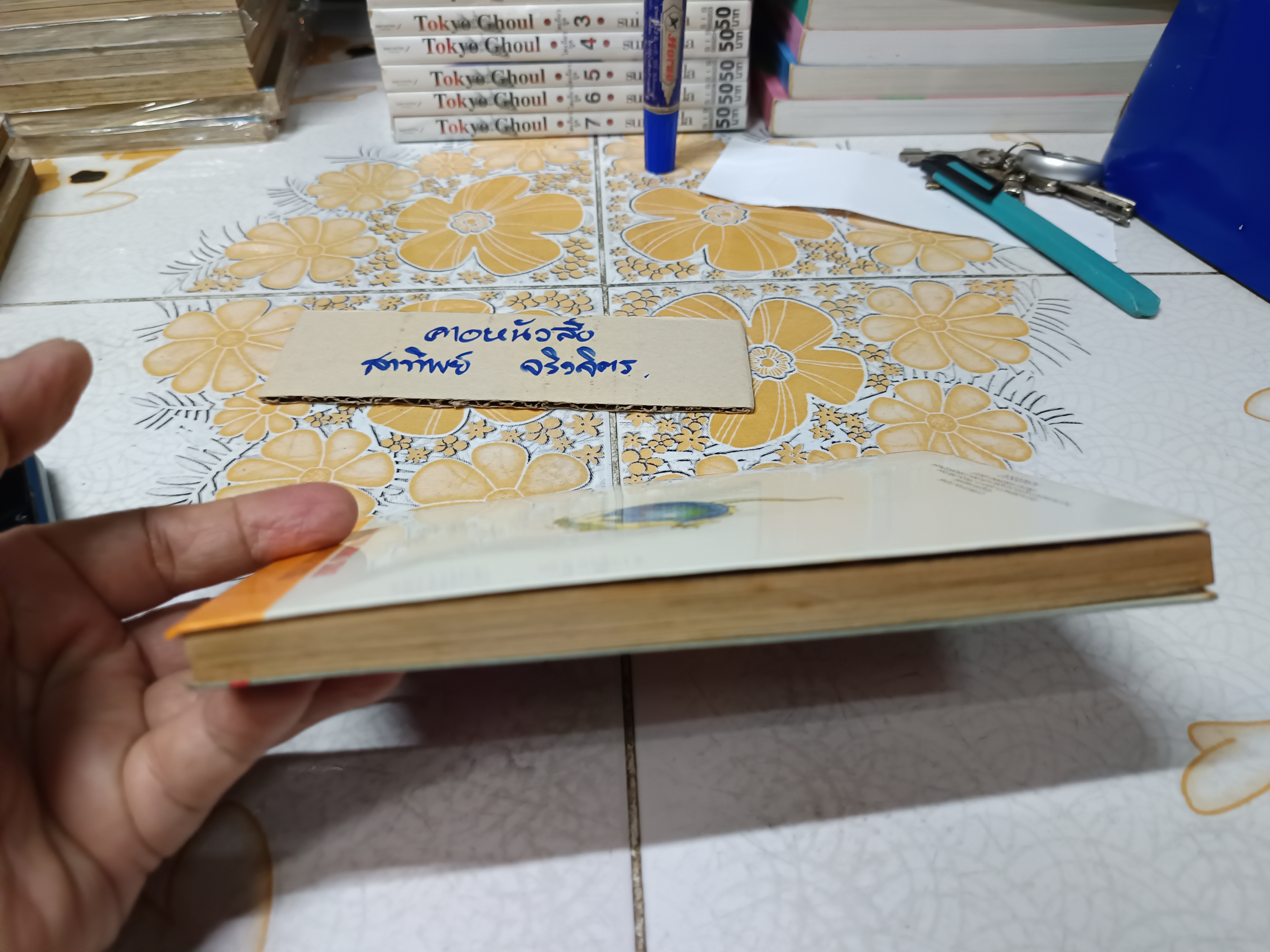 ภูตพรายแห่งทุ่งอ้อ (เล่มเดียวจบ) สำนักพิมพ์วิบูลย์กิจ **สินค้าหมด**