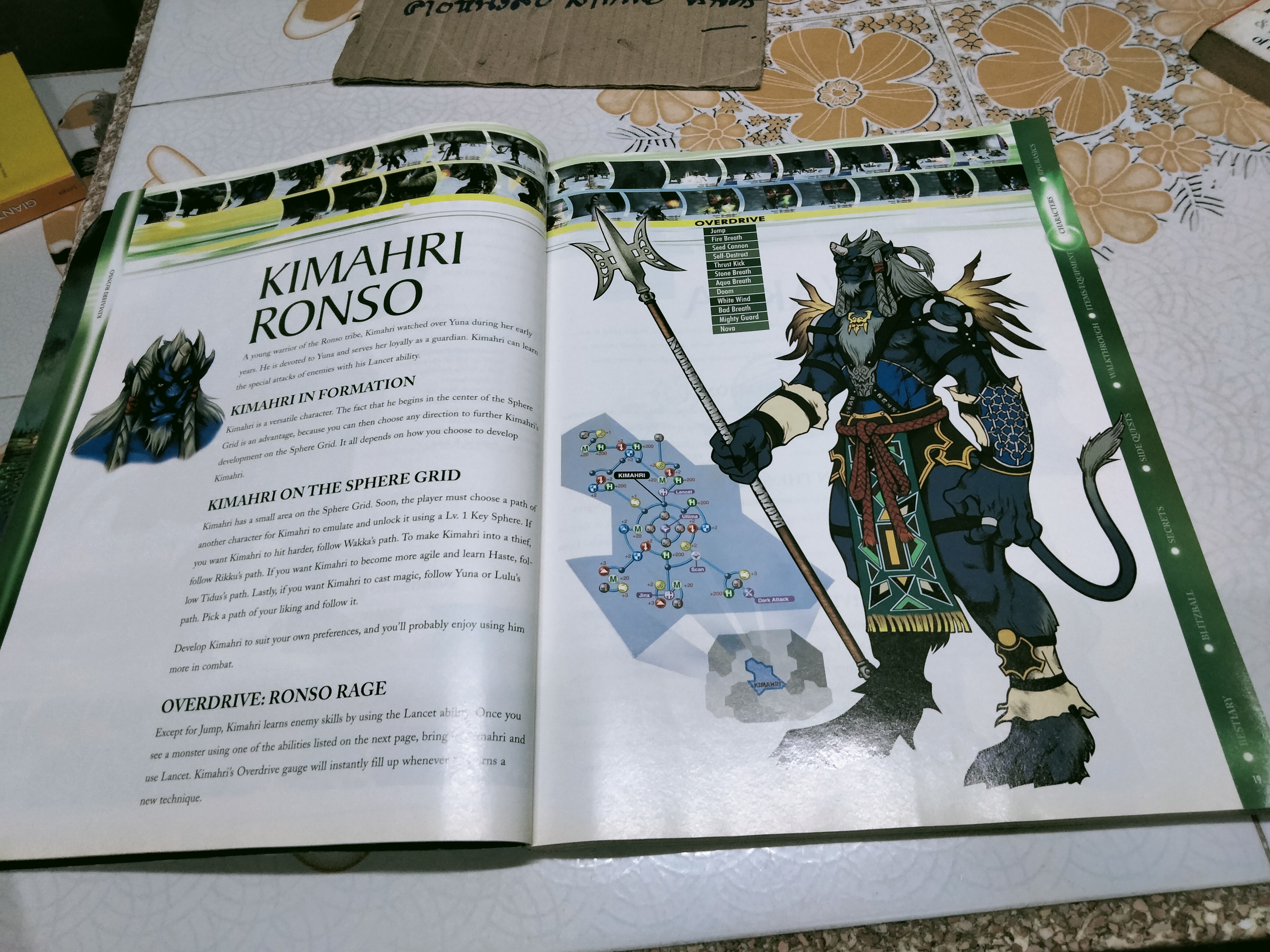 Final Fantasy X Official Strategy Guide ฉบับภาษาอังกฤษ **สินค้าหมด**