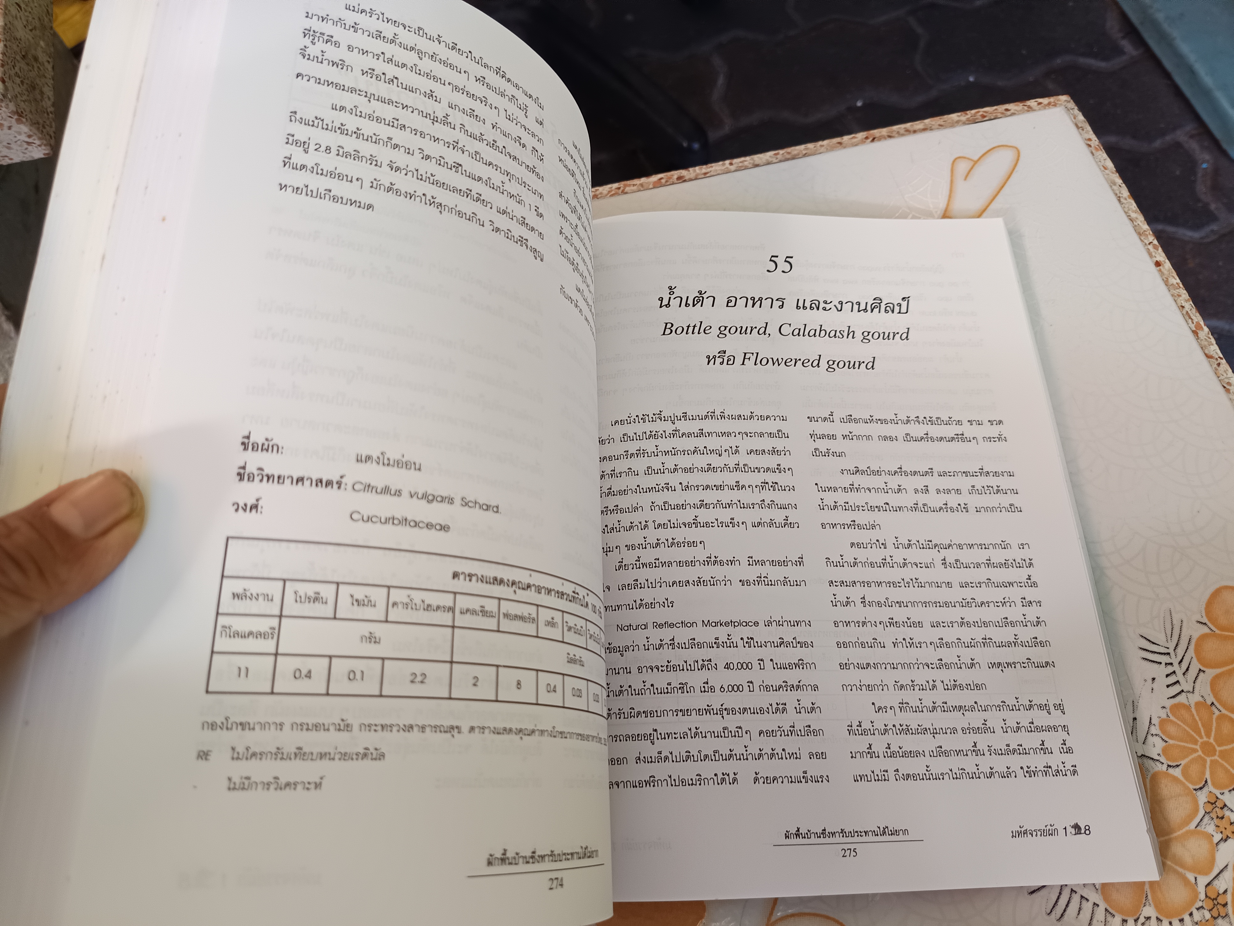 มหัศจรรย์ผัก 108