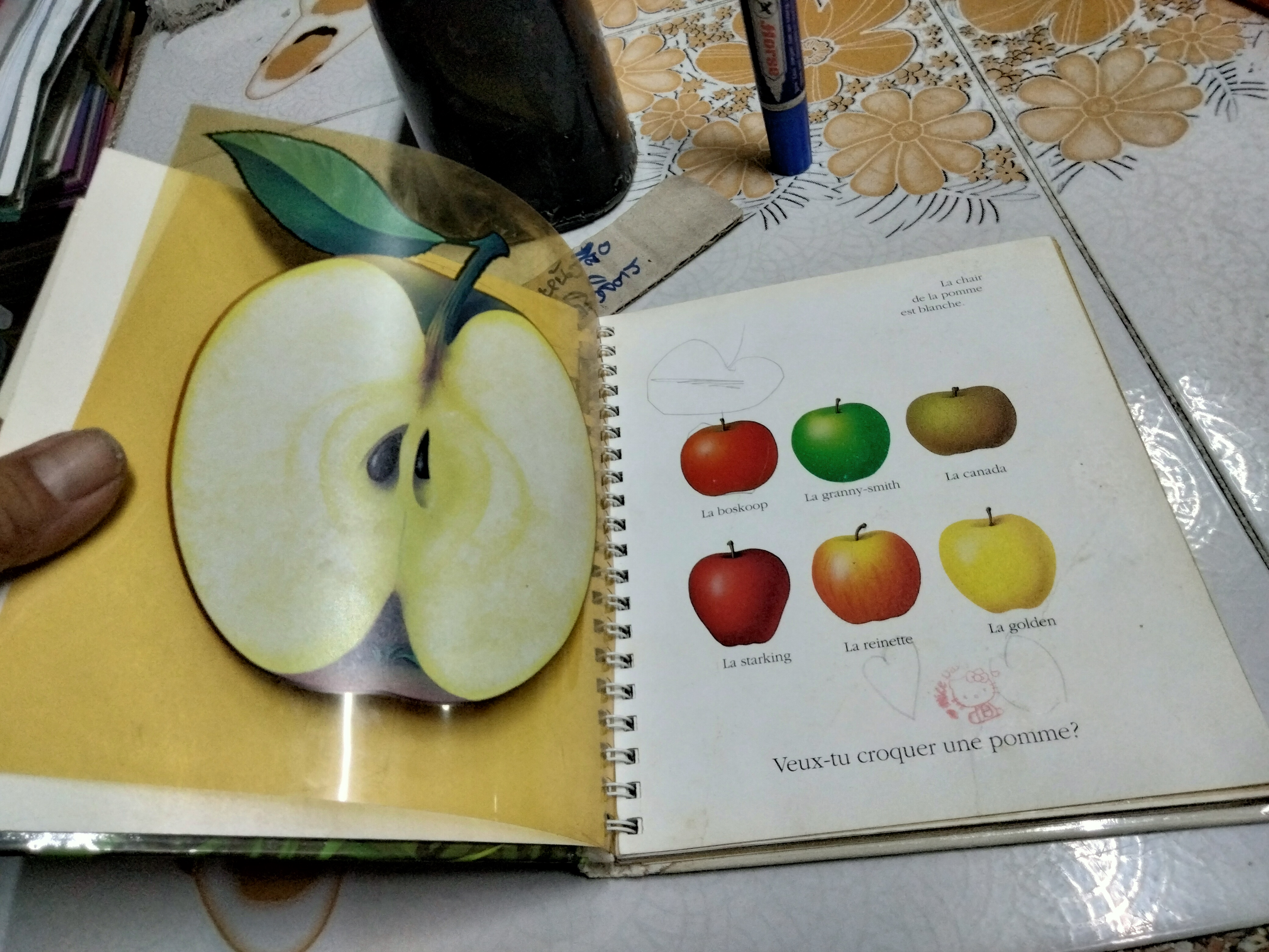 My First Discoveries Book - La pomme - ภาษาฝรั่งเศส (หนังสือจากห้องสมุด)