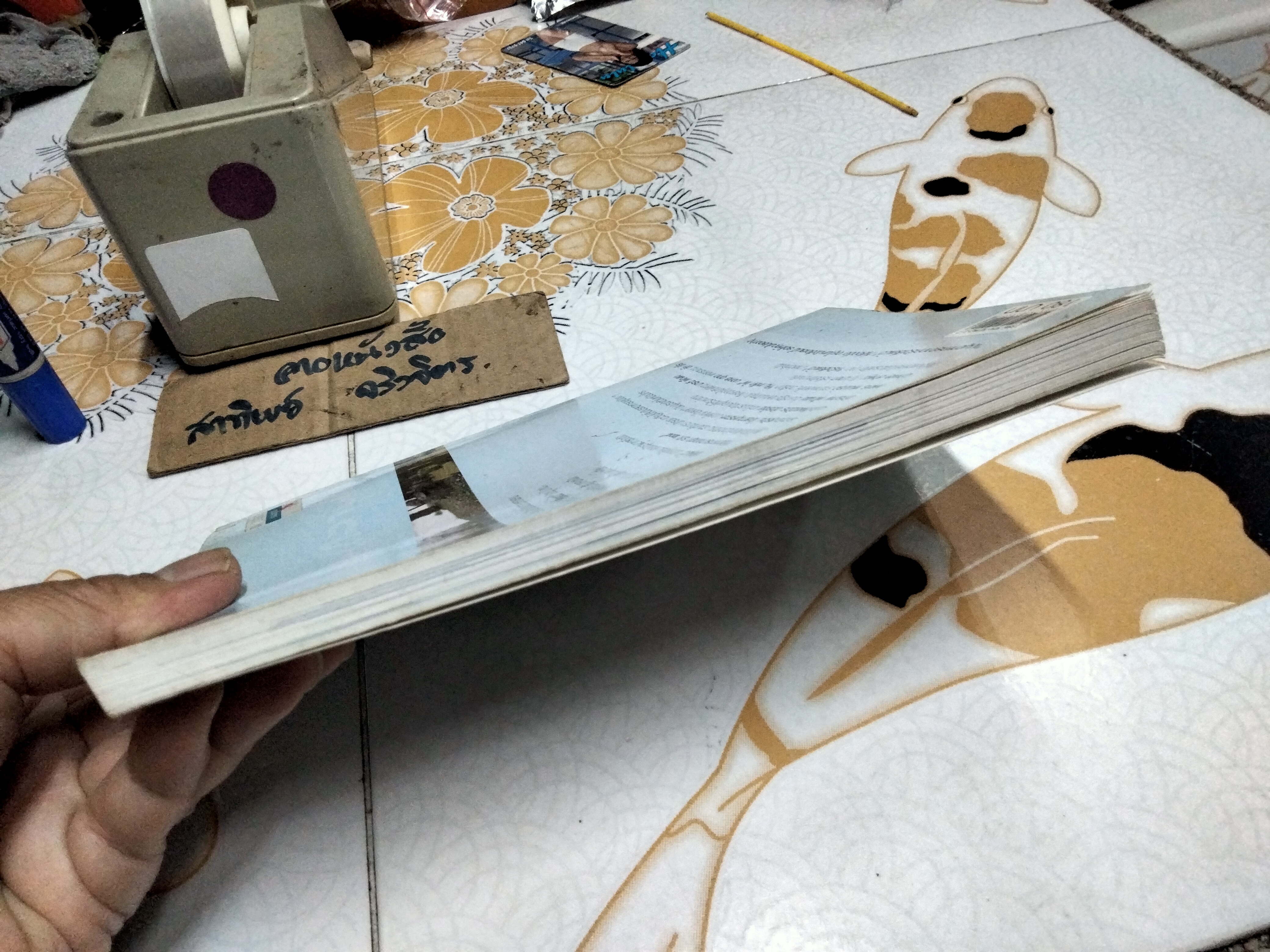 เมนูกลางแจ้ง จากครัวเสี่ยแม้ว โดย แสงไทย เค้าภูไทย