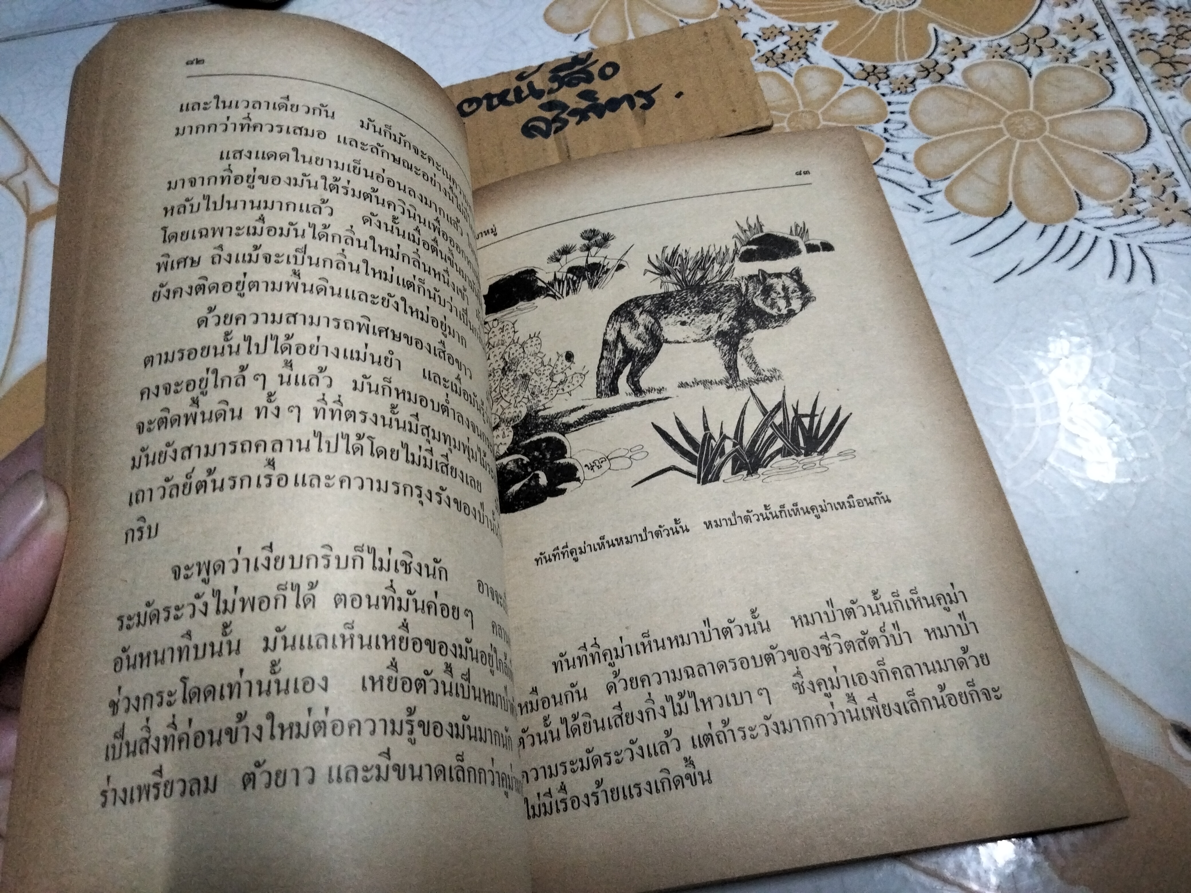 เสือขาว White Panther หนังสืออ่านสำหรับเยาวชนตามโครงการหนังสือเด็กของกองบรรณาธิการชัยพฤกษ์ ชุด 9 อันดับ 1 พ.ศ 2520 **สินค้าหมด**