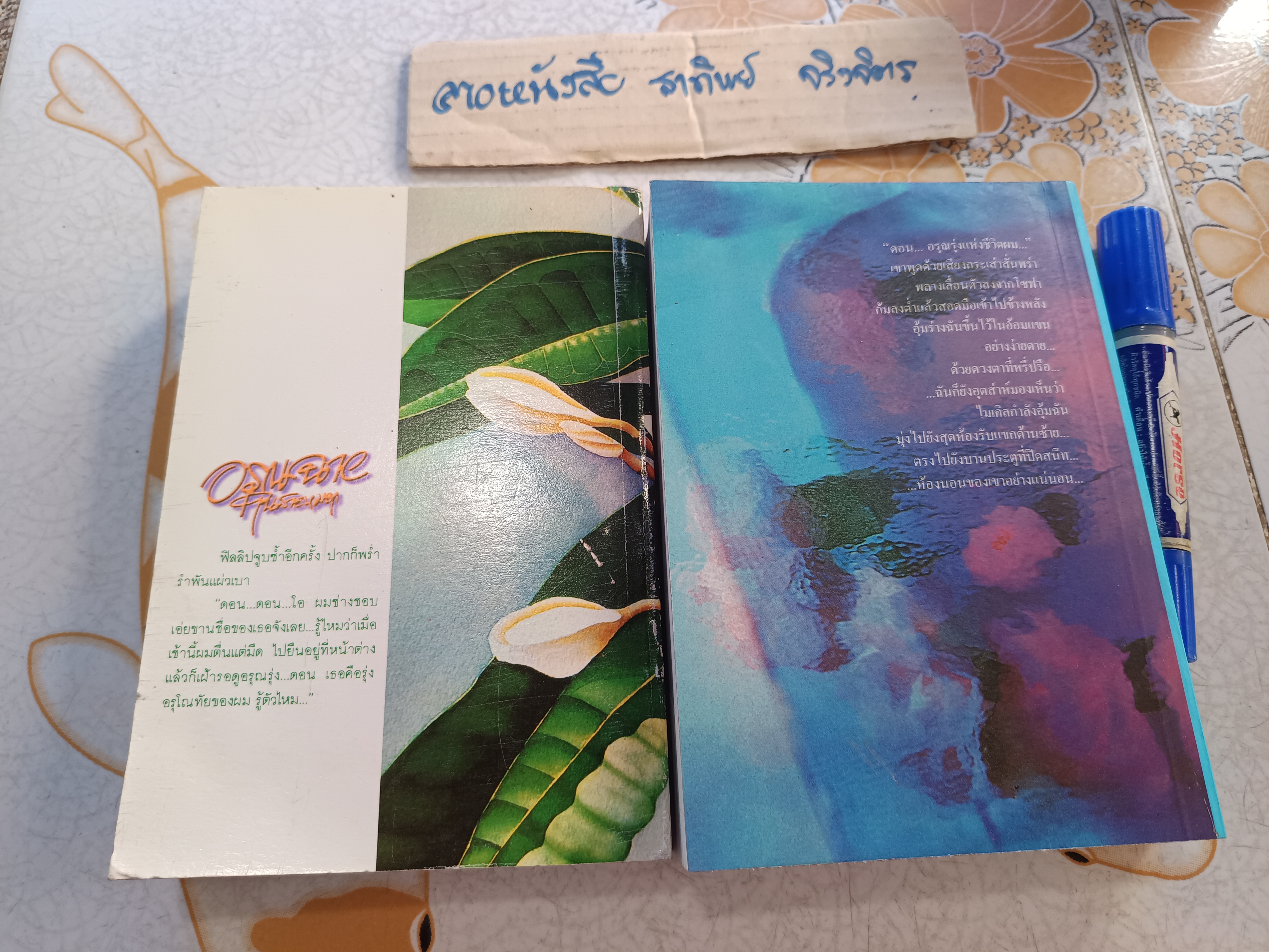 อรุณฉายในสายหมอก + ฝากฝันไว้ในสายลม (ครบ 2 ภาคจบบริบูรณ์) แปลและเรียบเรียง นิดา **สินค้าหมด**