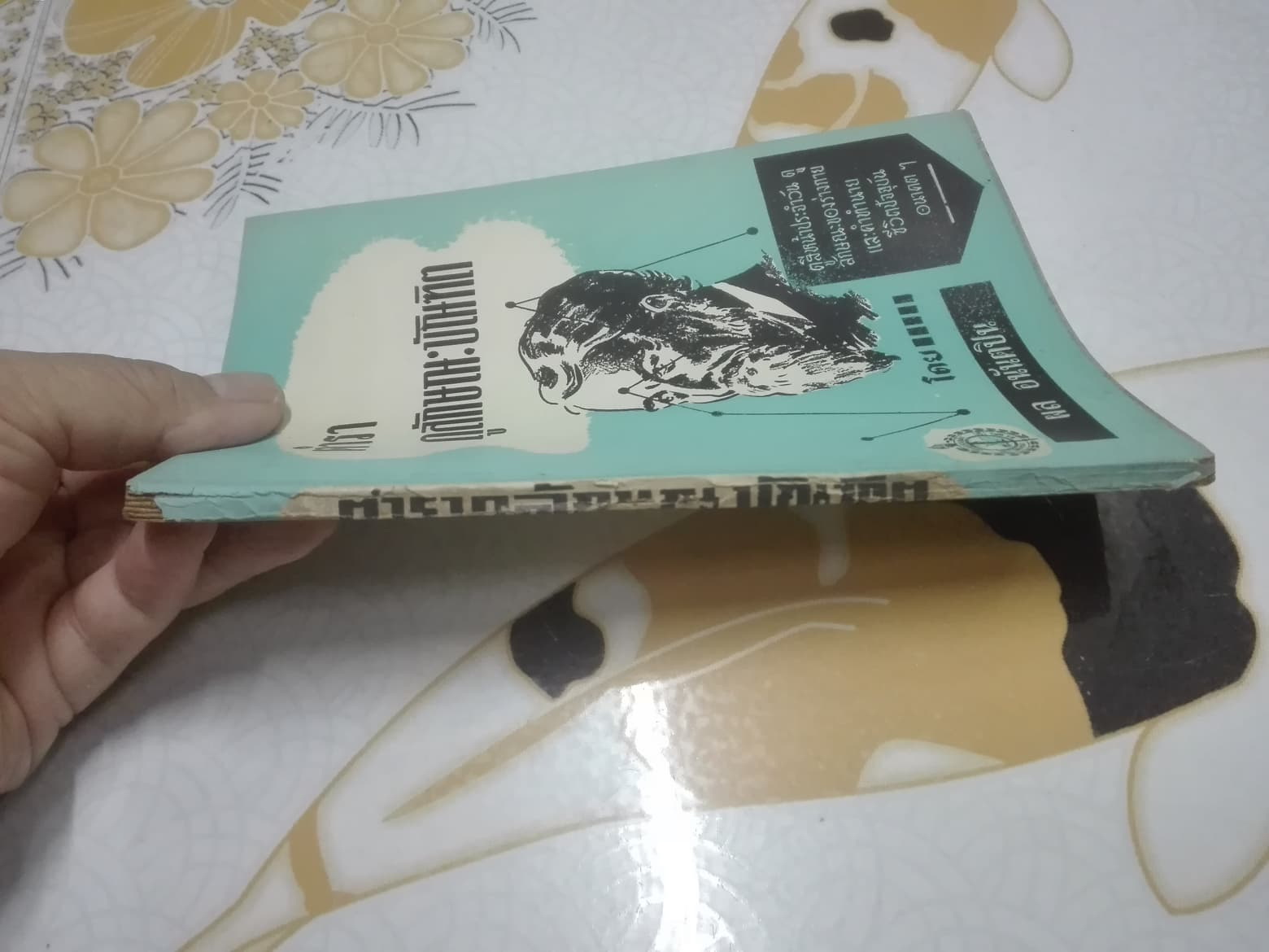 ตำราดูลักษณะบัณฑิต โดย ผล อนันตปิน (สันหนังสือแหว่ง) **สินค้าหมด**