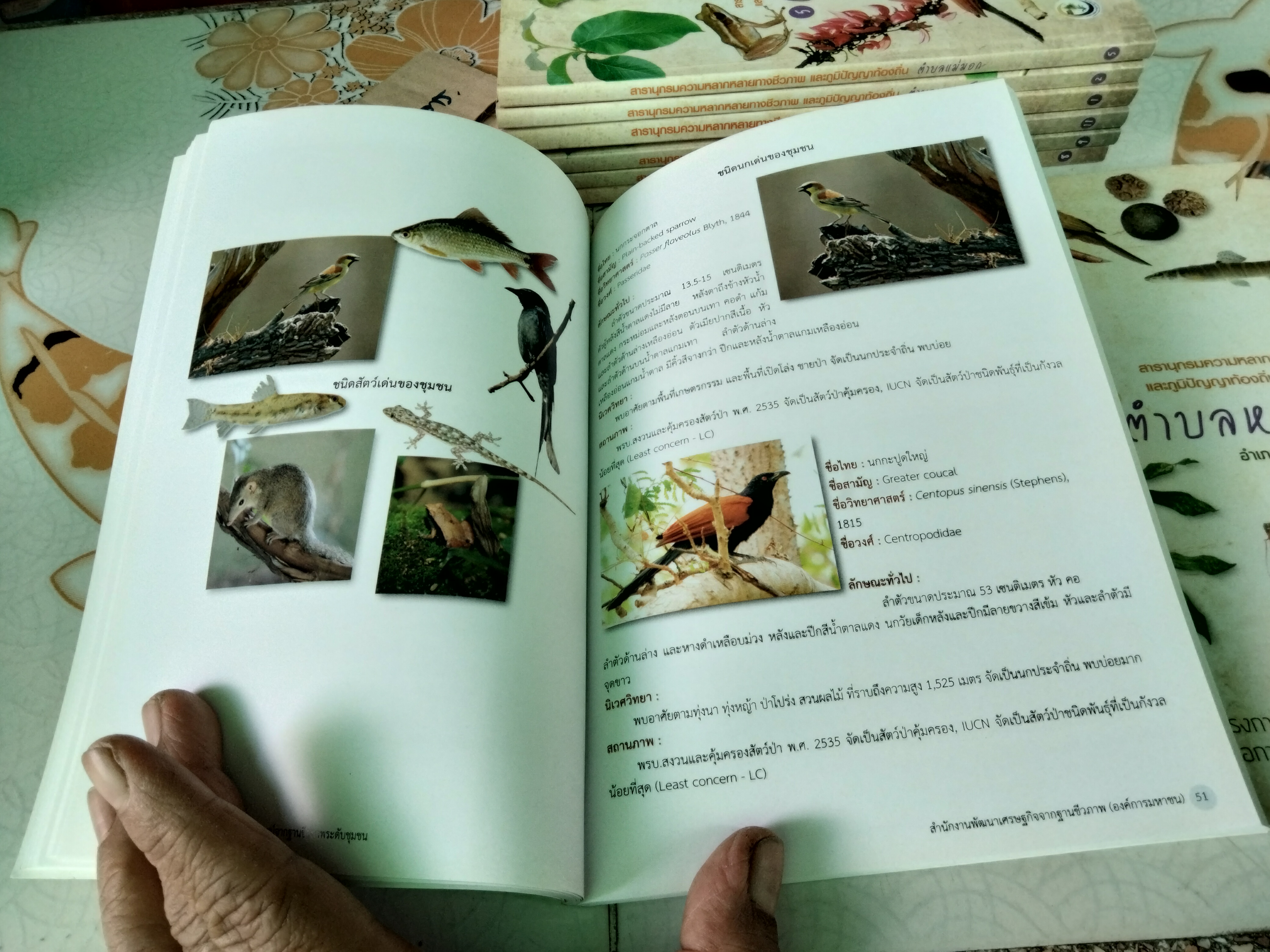 สารานุกรมความหลากหลายทางชีวภาพและภูมิปัญญาท้องถิ่น 20 ชุมชน (มีแค่ 8 เล่ม จาก 20 เล่ม/ชุด)