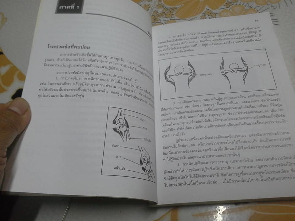 คลายข้อ ชะลอปวด - คู่มือบริหารเพื่อป้องกันและรักษาอาการปวดข้อ โดย ผศ.ประโยชน์ บุญสินสุข, สุมนา ตันฑเศรษฐี, รุ่งทิวา ชาญพิทยานุกูลกิจ **สินค้าหมด**