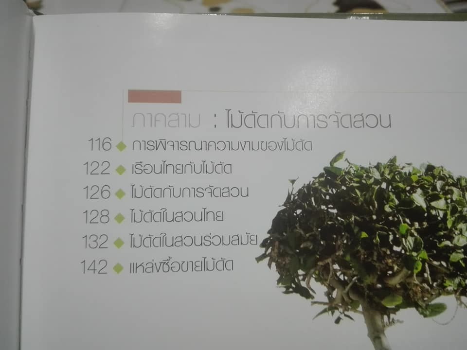 ไม้ดัดไทย (ปกแข็ง) โดย บัญชา เขมธร - ภูวดล น้ำดอกไม้ **สินค้าหมด**