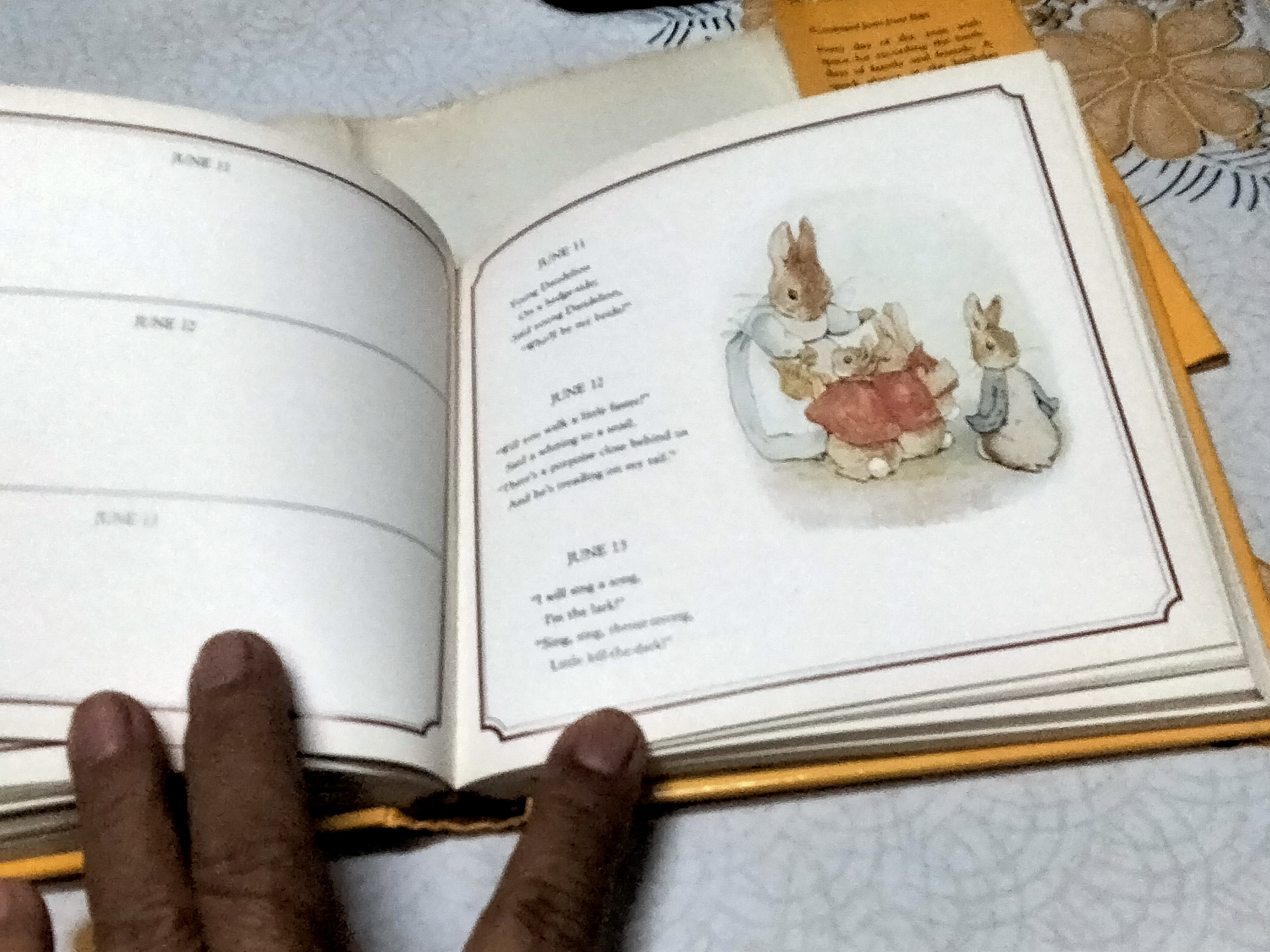 PETER RABBIT BIRTHDAY BOOK ILLUSTRATIONS BY BEATRIX POTTER