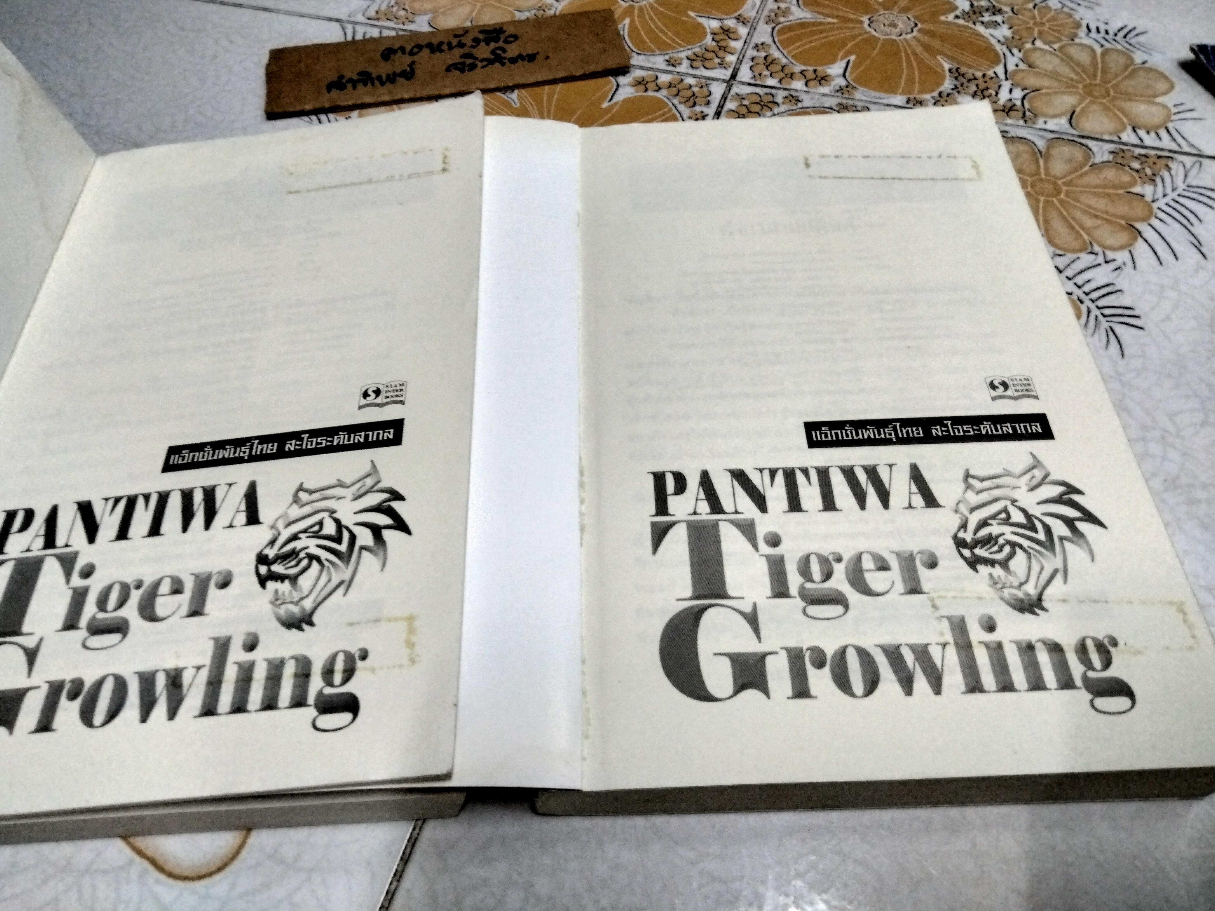 พยัคฆ์คำรน (พยัคฆ์เพชฌฆาตล่าถล่มโลก) 2 เล่มจบ โดย พันทิวา
