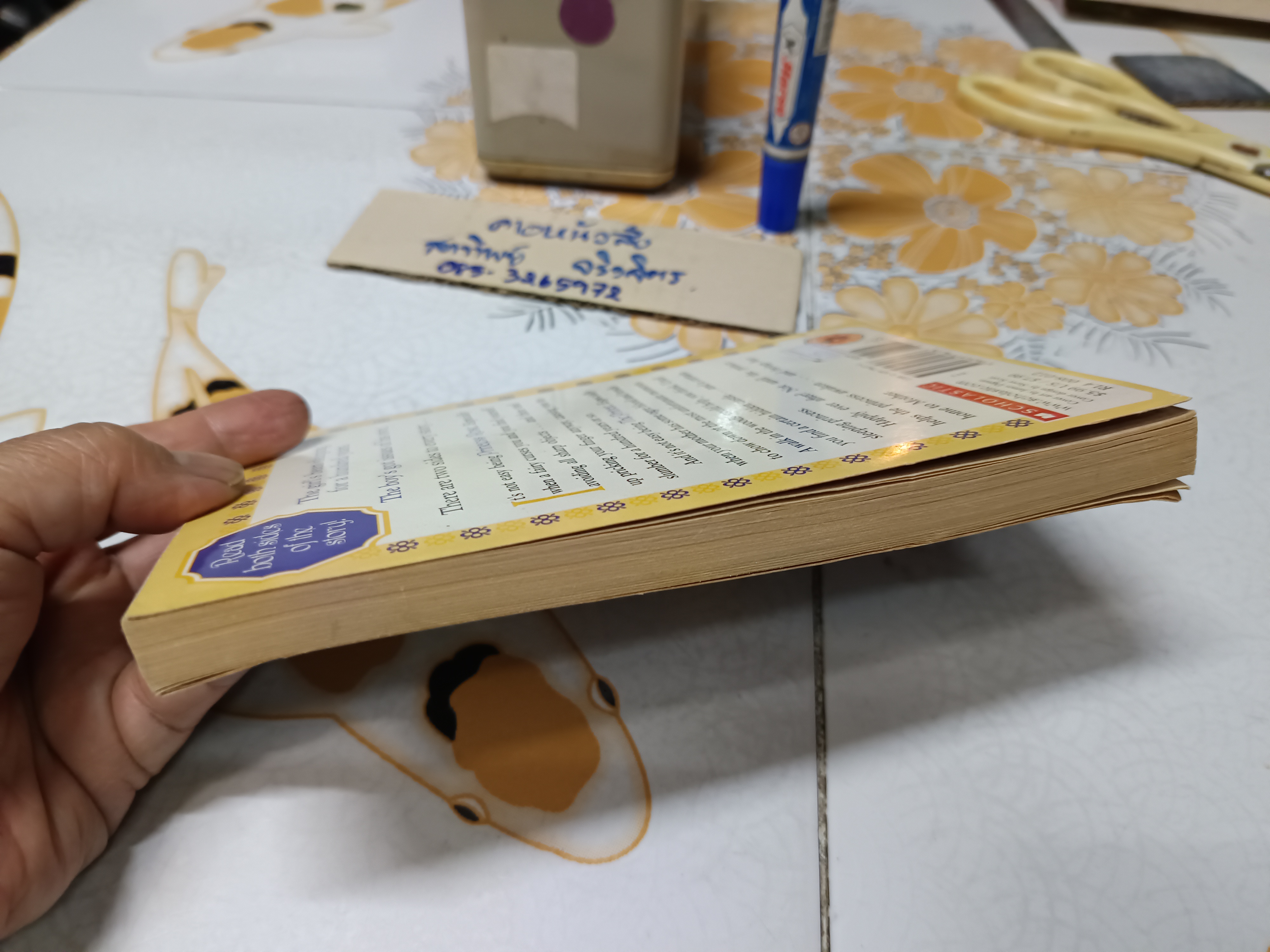 Twice Upon a Time, Sleeping Beauty ,Wendy Mass The One Who Took the Really Long Nap