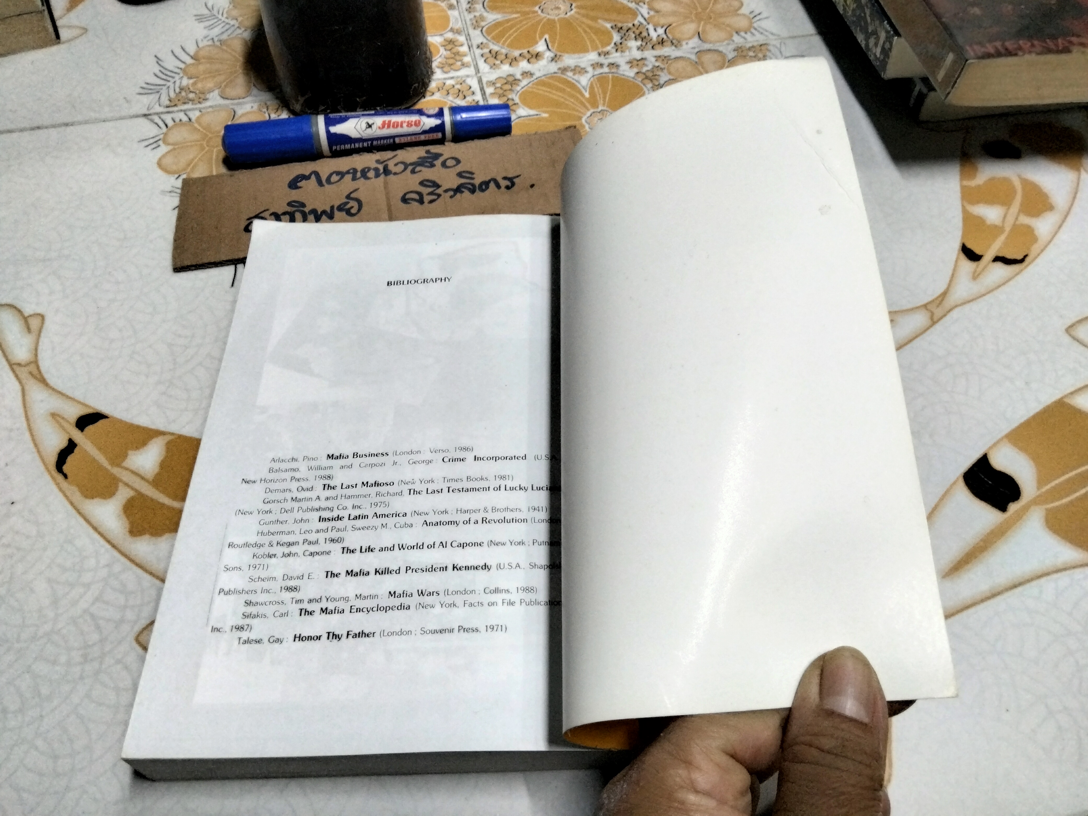 การเมืองทมิฬ ตอน มาเฟียปล้นชาติ โดย ทวีป วรดิลก **สินค้าหมด**