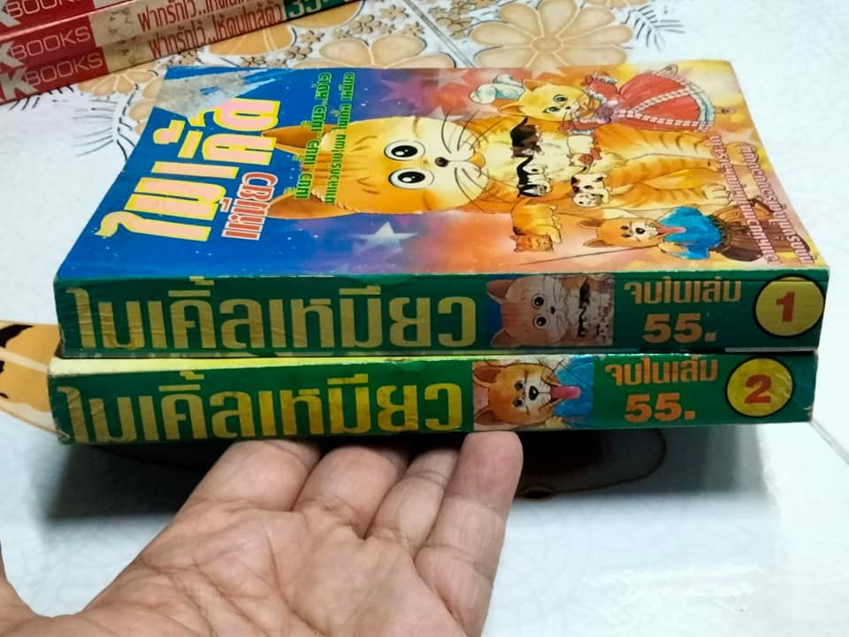 ไมเคิ้ลเหมียว (2 เล่มจบ) **สินค้าหมด**