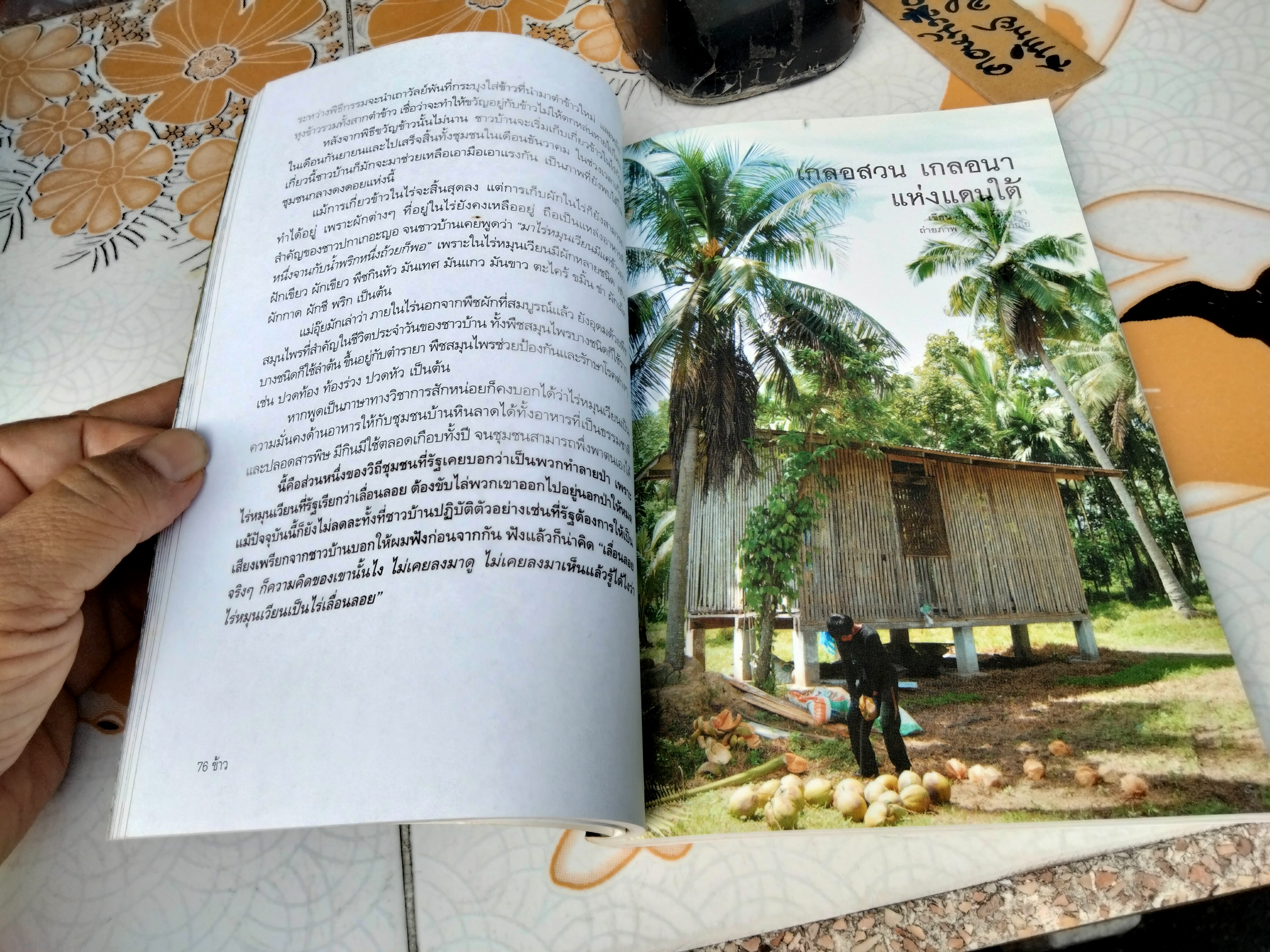 ข้าวบนแผ่นดินกลายเป็นอื่น - เมียงซอ คีรีมัญจา , ปกรณ์ คงสวัสดิ์ - จิตติมา ผลเสวก , บรรณาธิการ