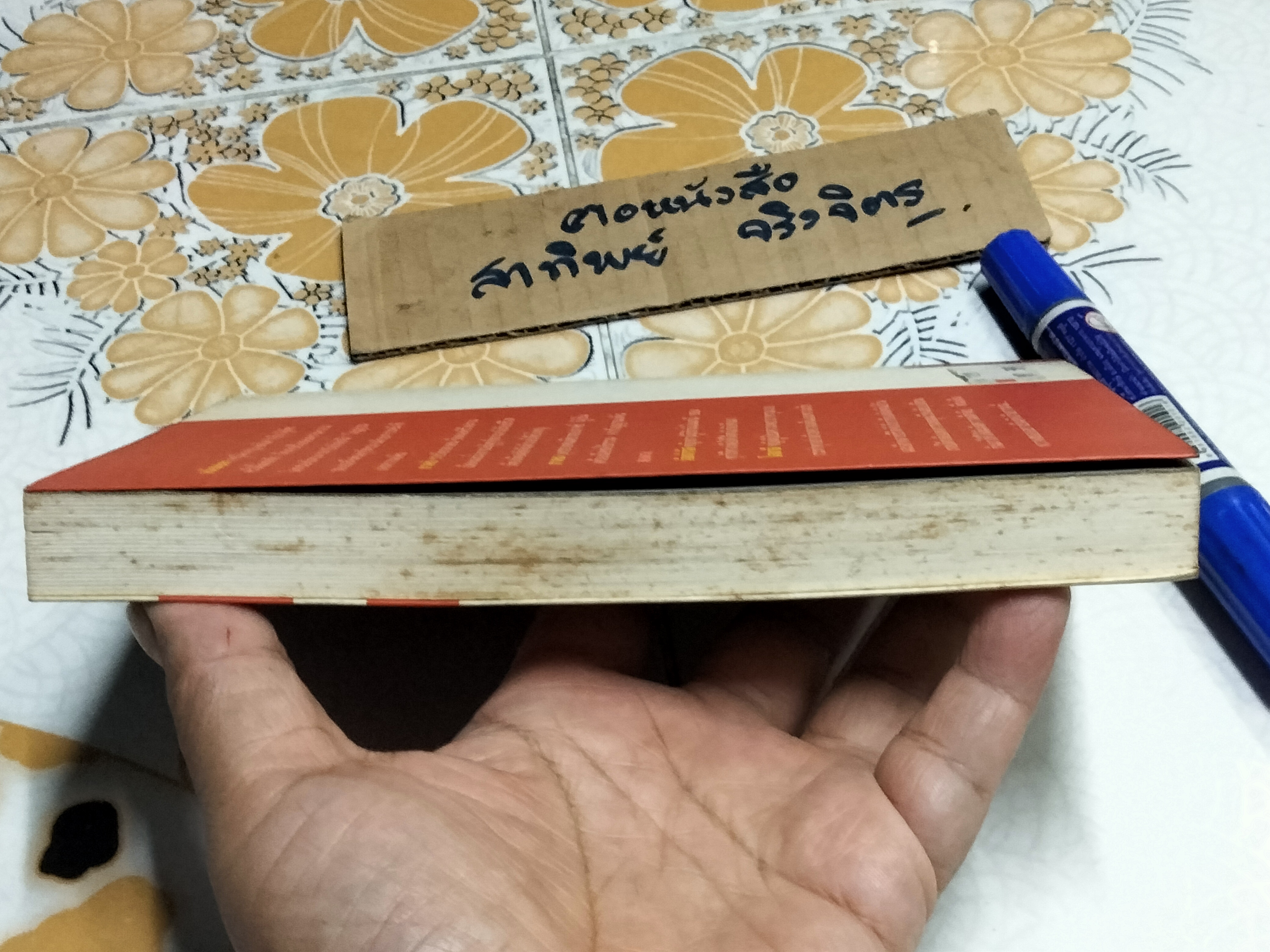 นางมาร (เล่มเดียวจบ) เพไนย เพียงศูนย์