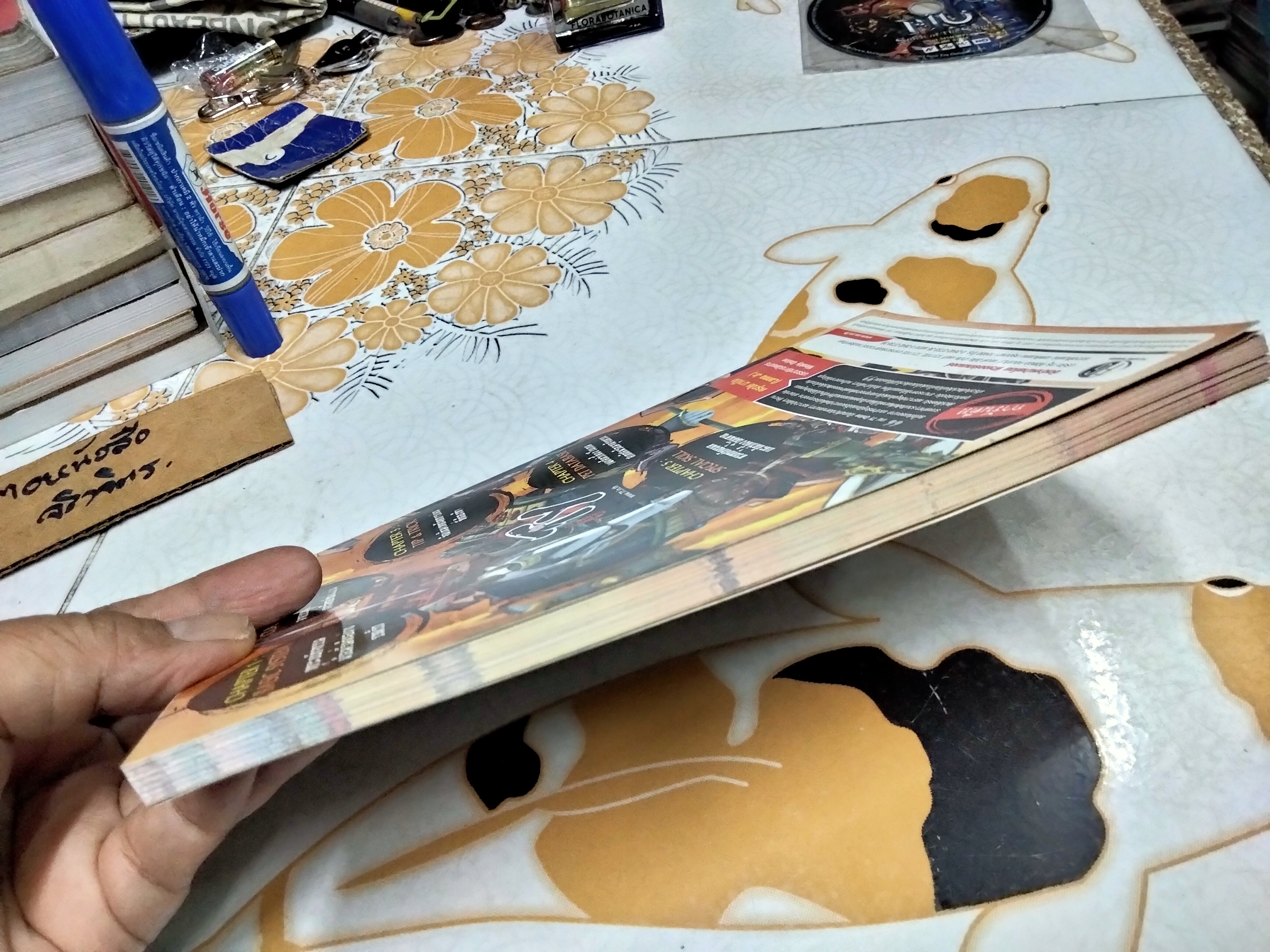 TY Online : สุดยอดคัมภีร์ข้อมูลฉบับสมบูรณ์ (ไม่มีแผ่น DVD)