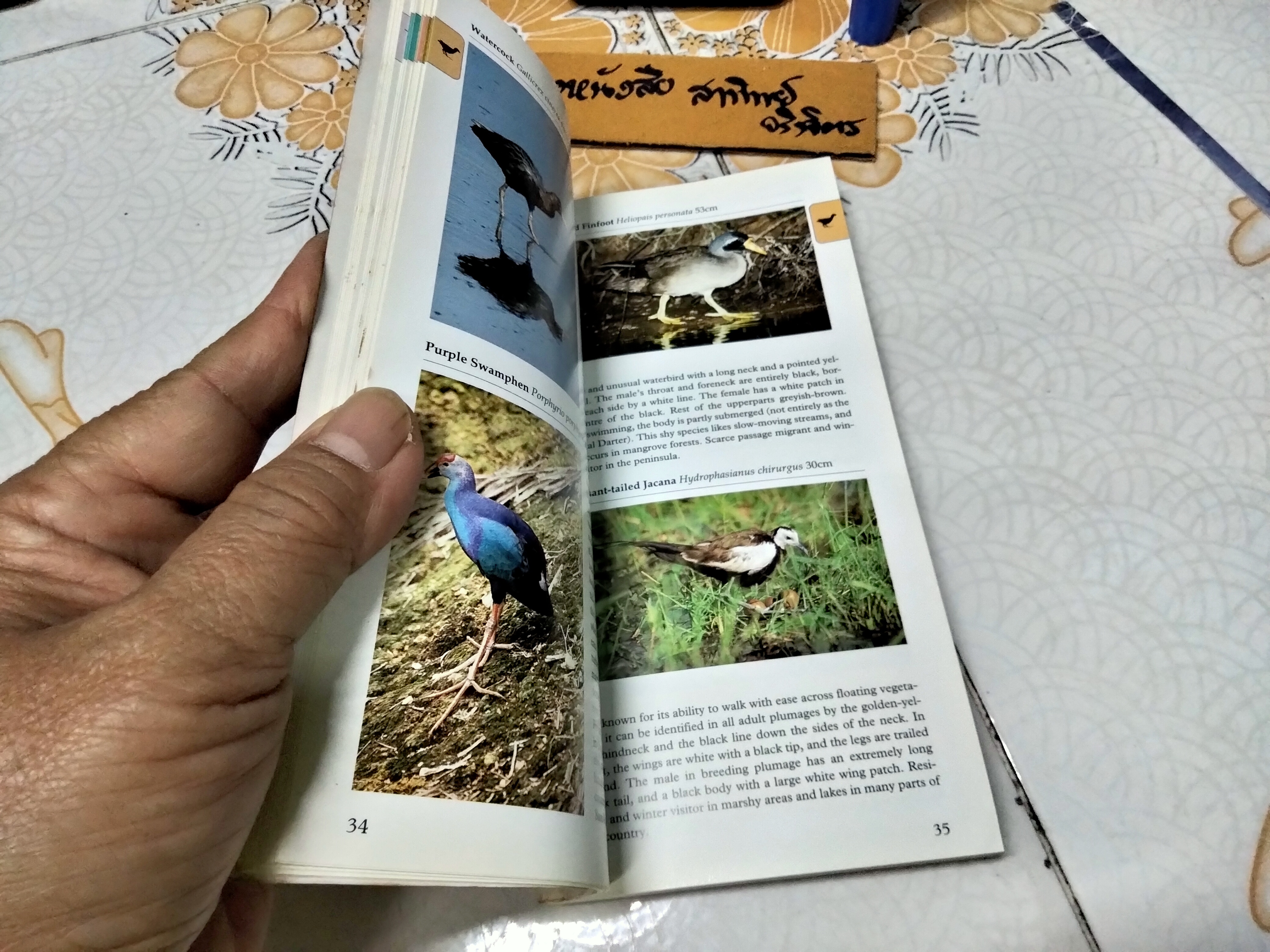 Birds of Thailand by Michael Webster and Chew Yen Fook ,1997