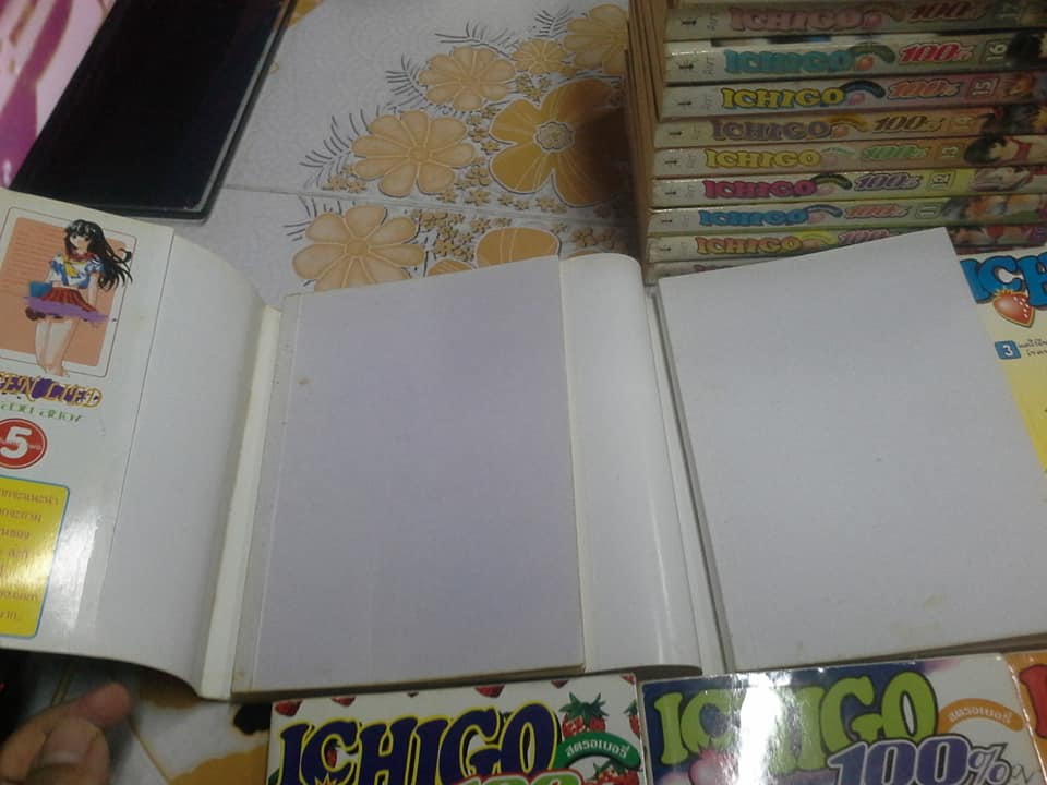 การ์ตูน ICHIGO 100 % - 19 เล่มจบ (สนพ.ANT)