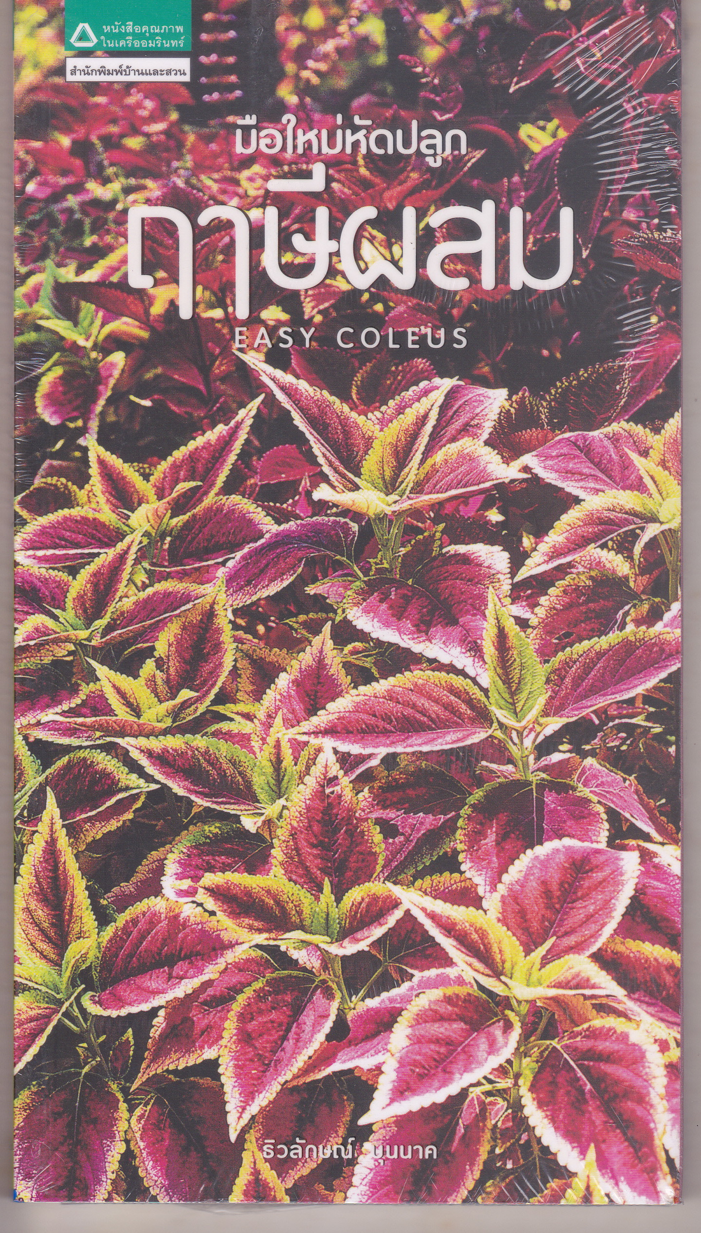 มือใหม่หัดปลูกฤาษีผสม (Easy Coleus) โดย ธิวลักษณ์ บุนนาค