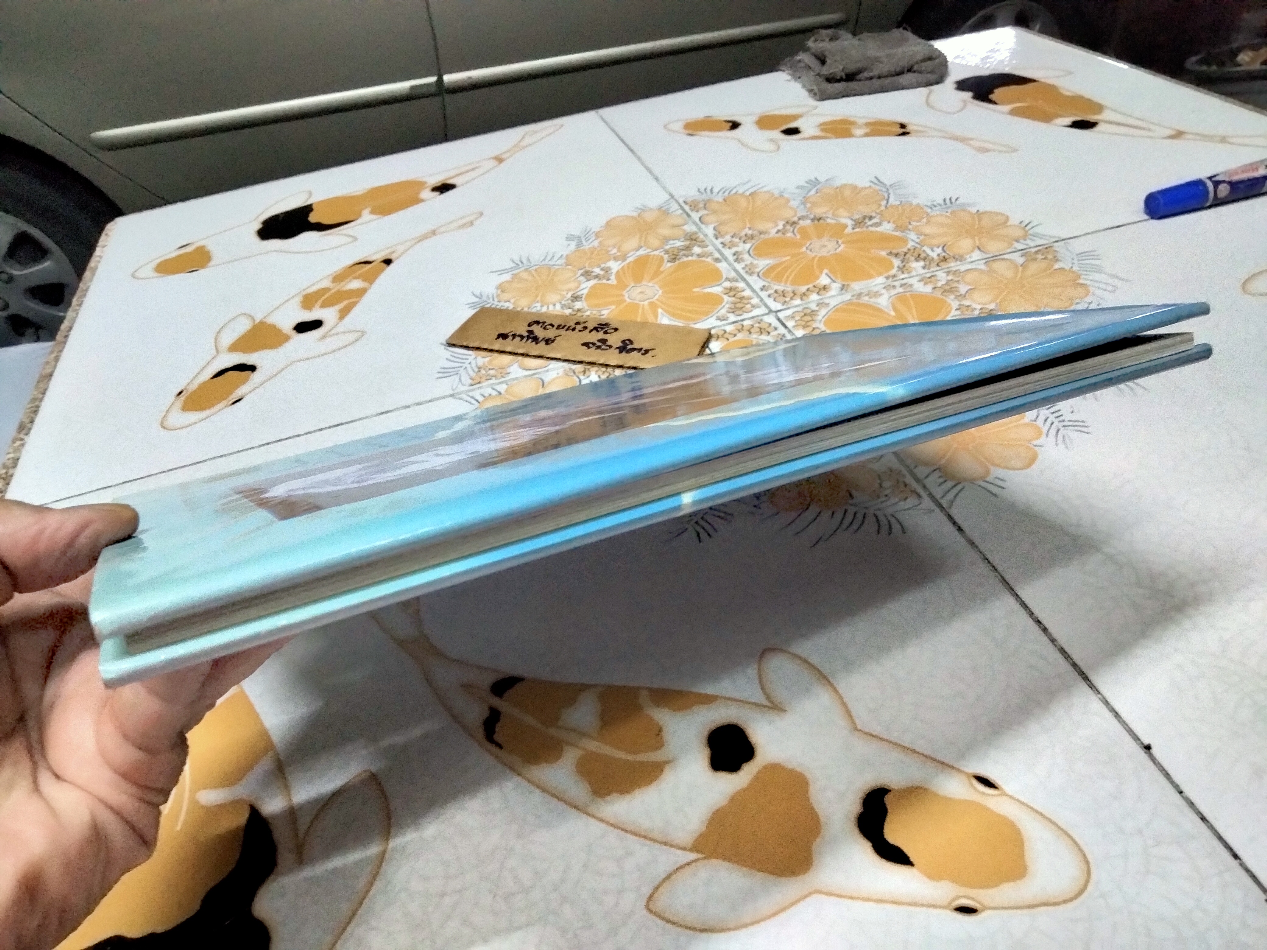 SKY PIONEER : A Photobiography of Amelia Earhart by CORINNE SZABO